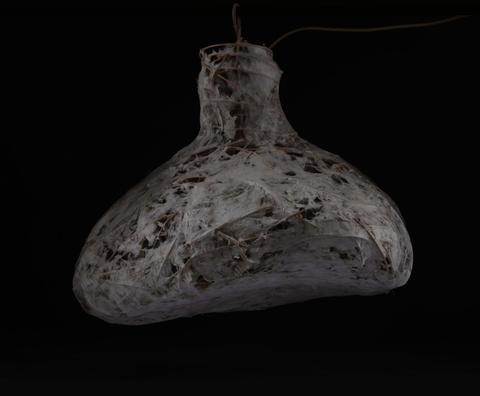 A pendant light born from weaving and coaxing dampened wood cord into place, with paper made directly on the surface of the structure.