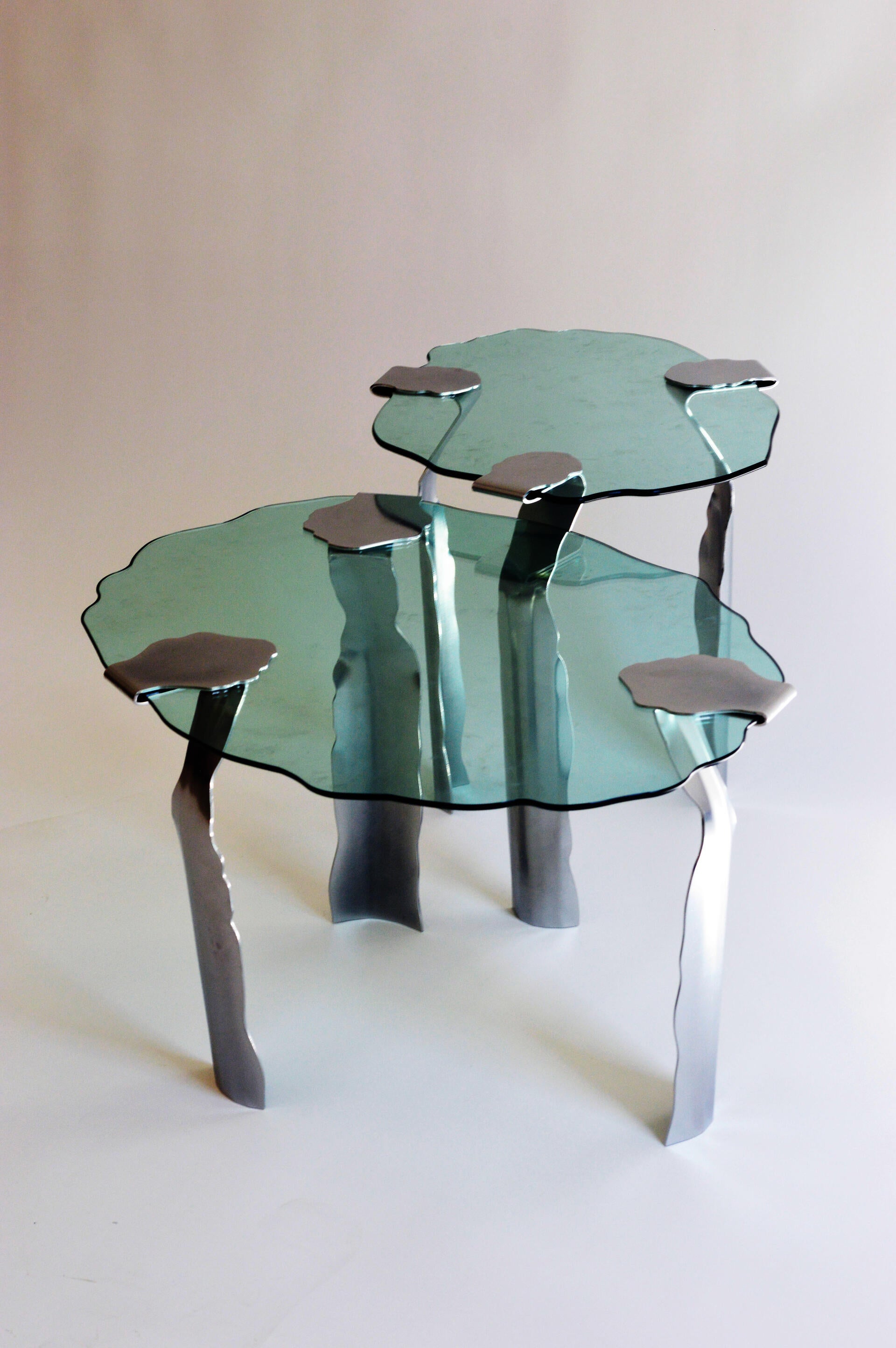 The initial concept was to design a modular and detachable coffee table. The table is composed of several modules, which can be freely arranged. The different heights between modules can meet the different use needs of users. In addition, the biophilia design can help users release their stress from the psychological level, and also make the appearance of this table more lovely and vivid.