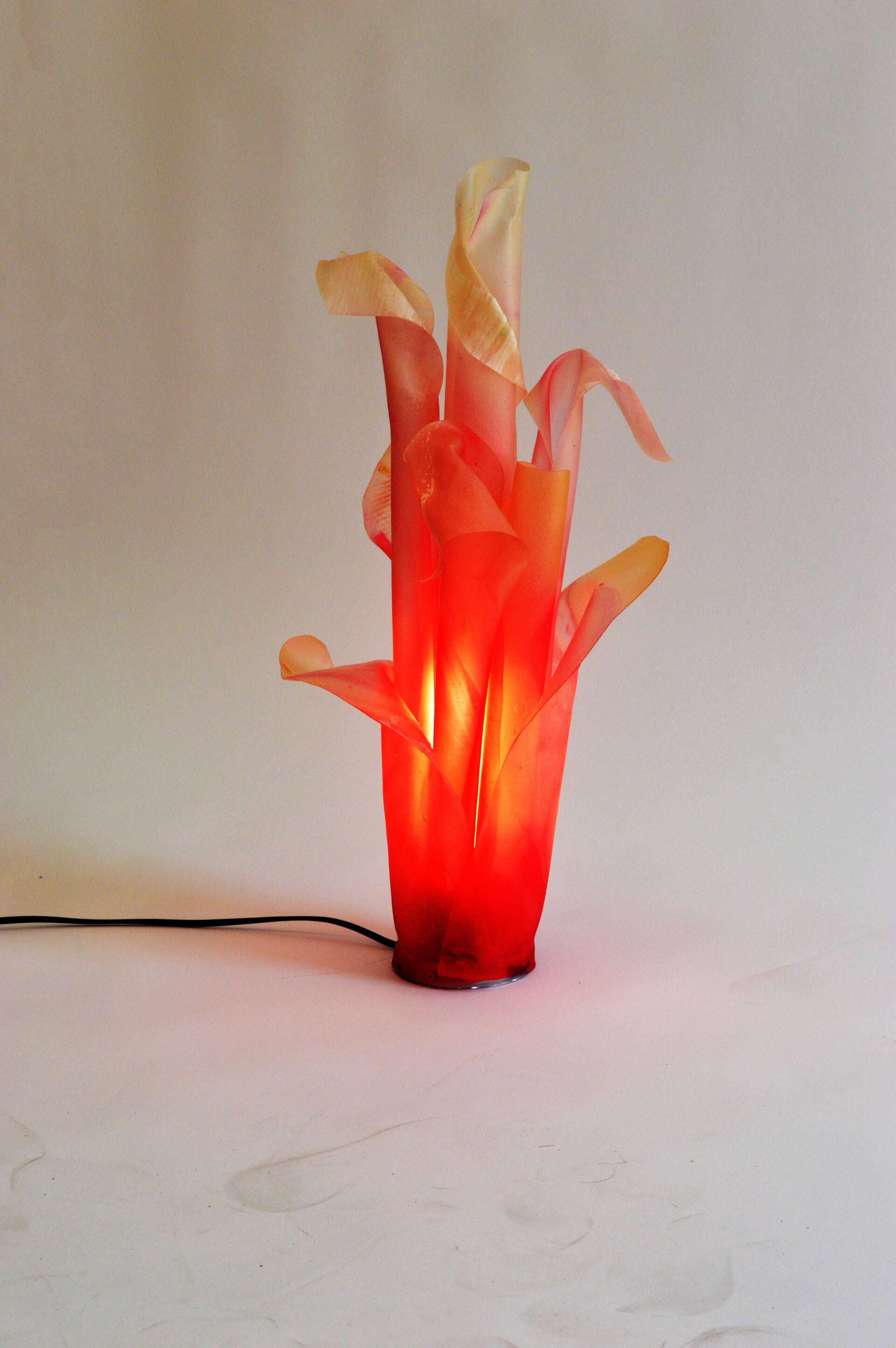 Bio-inspired by the shape of flowers and corals, I love how simple it is: just one system that is formed by some repetitive single column geometries. I love how complex it is: each individual column has slightly differences while creating this organic system as a whole. The material was named bio-plastic. I made it by mixing water, potato starch, gelatin, glycerin in a certain proportion. It has a similar material characteristic to industrial plastic, but bio-plastic is bio-degradable and can be easily mad