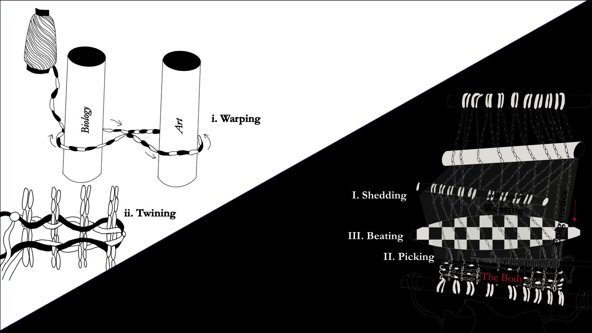 Diagram of the thesis structure as warping, shedding, beating, picking, and twining.