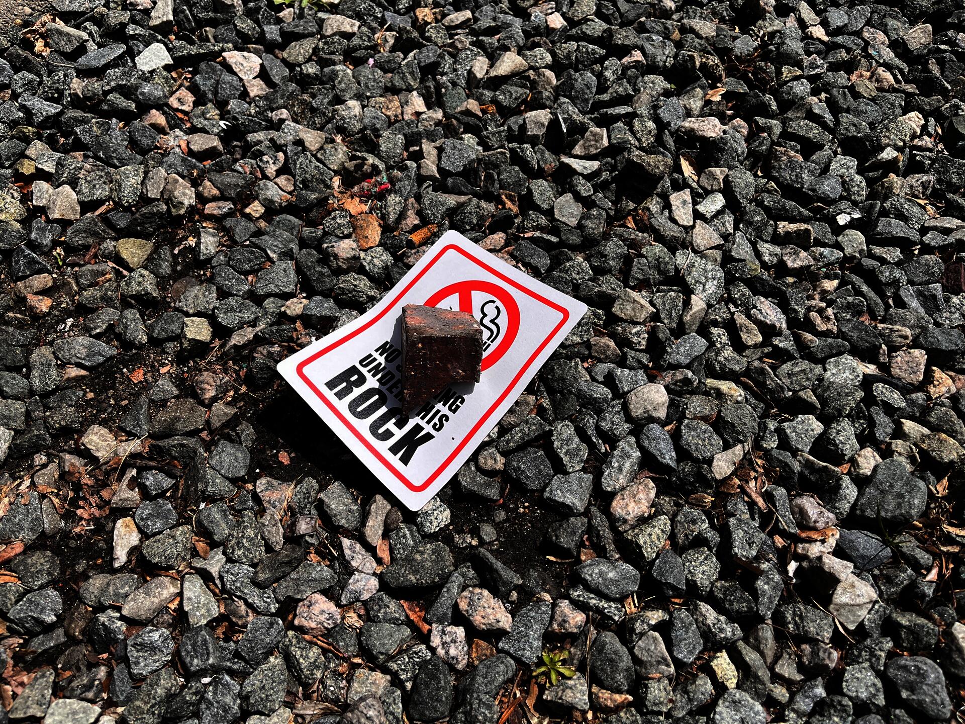 appropriation of the No Smoking Sign