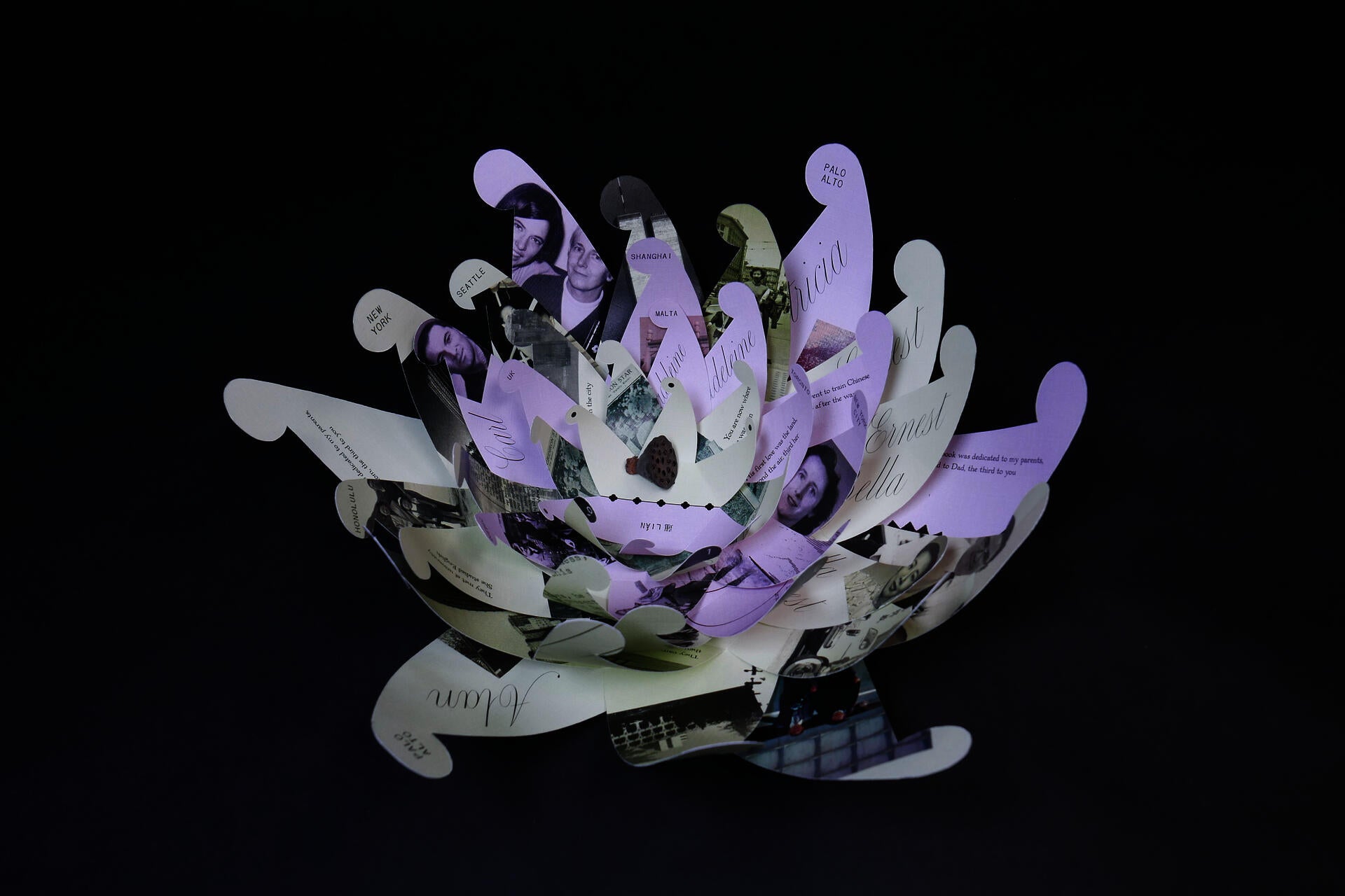 A flower made of printed pink and yellow paper with fragmented names, dates, and faces visible.