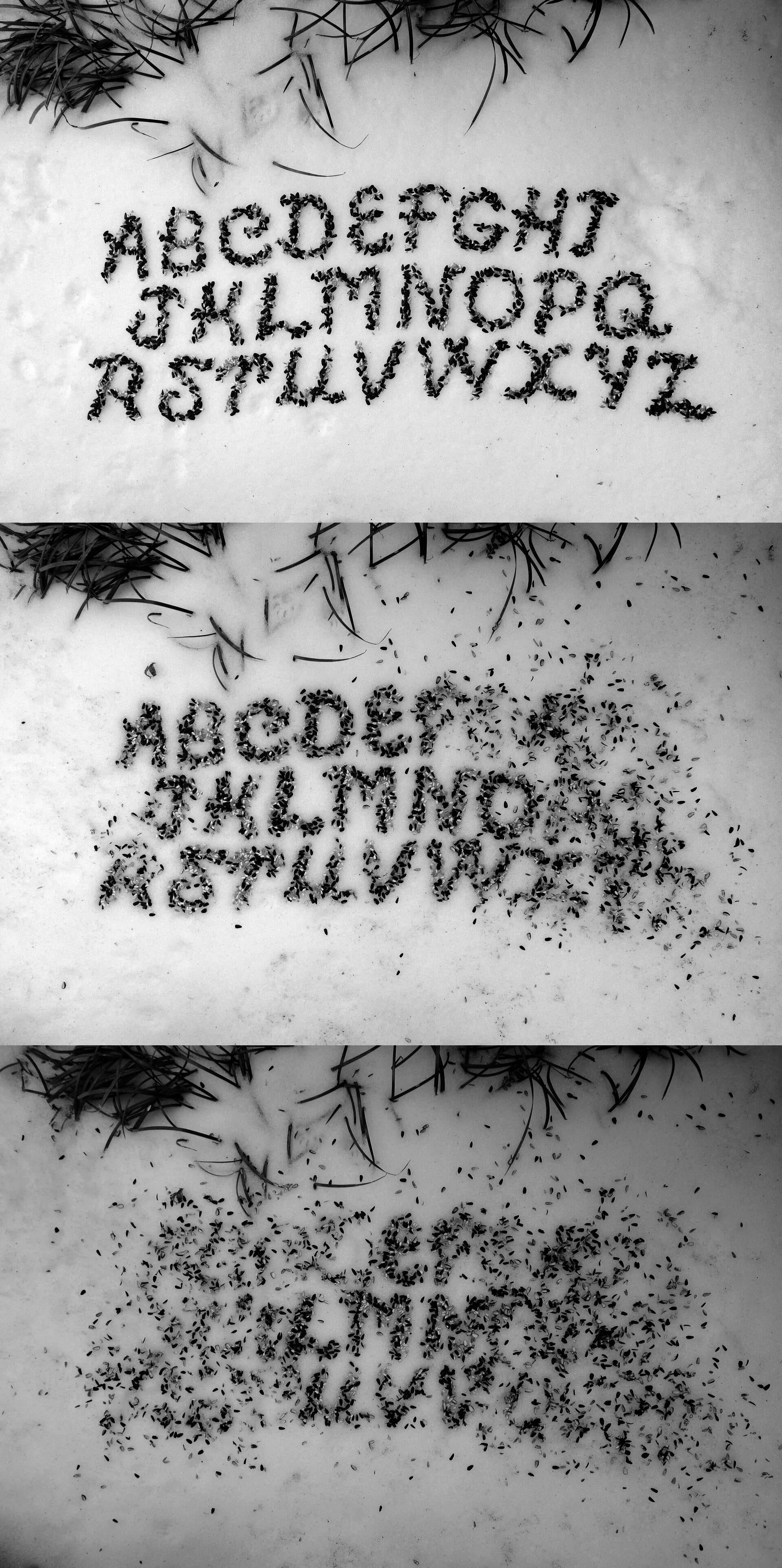 Three sets of letters written with bird seed in the snow that become progressively scattered.