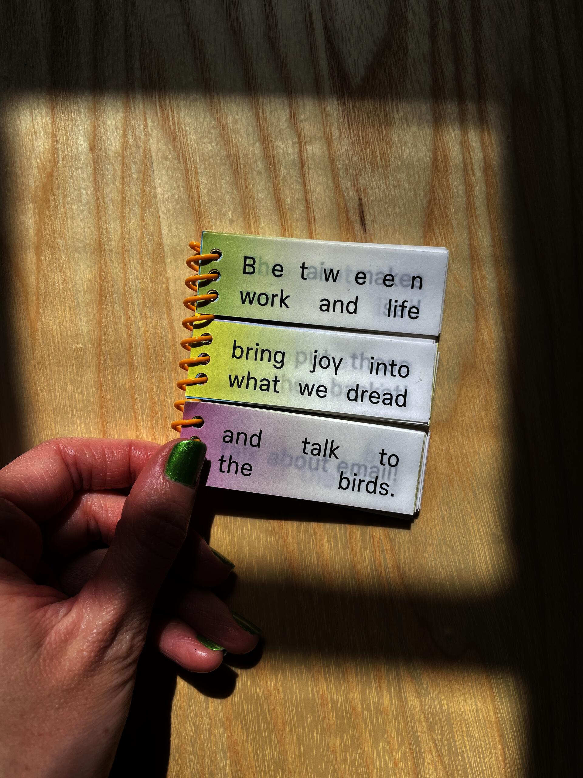 A spiral-bound book with three physically separated sections that together read “Between work and life, bring joy into what we dread, and talk to the birds.”