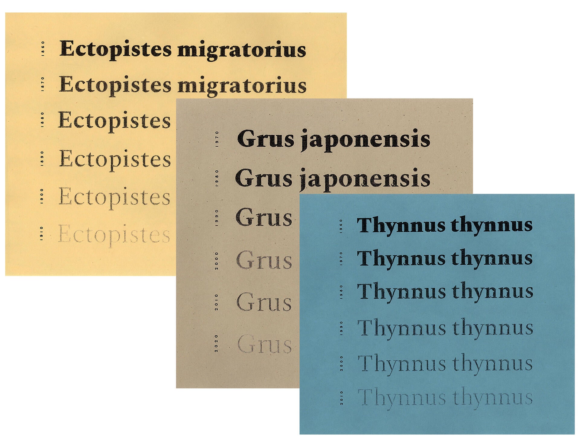 Variable typeface based on a classic 19th century serif showcasing the notion of species population decline.
