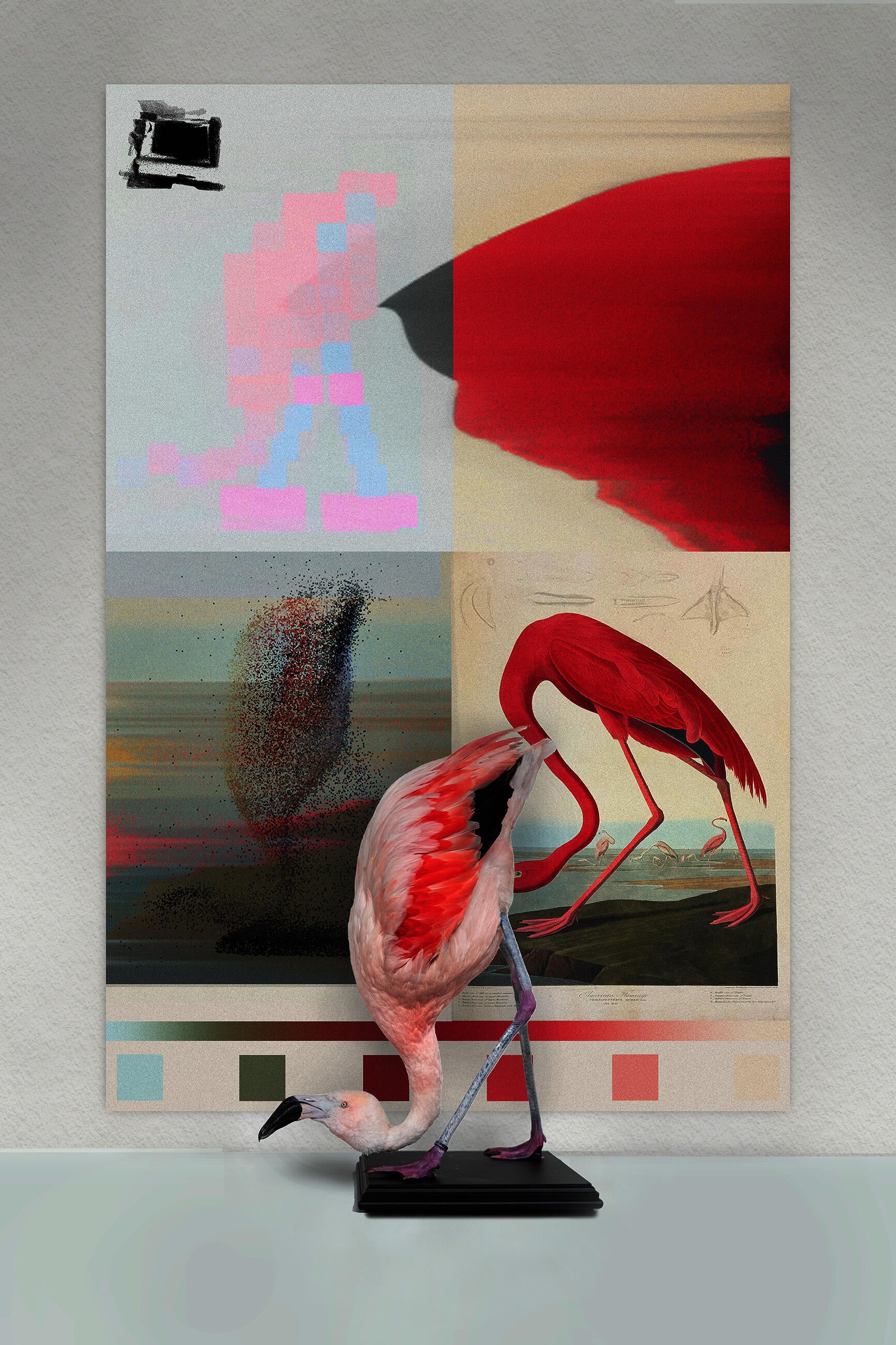 Re-inventing species through the study of color pixel information.