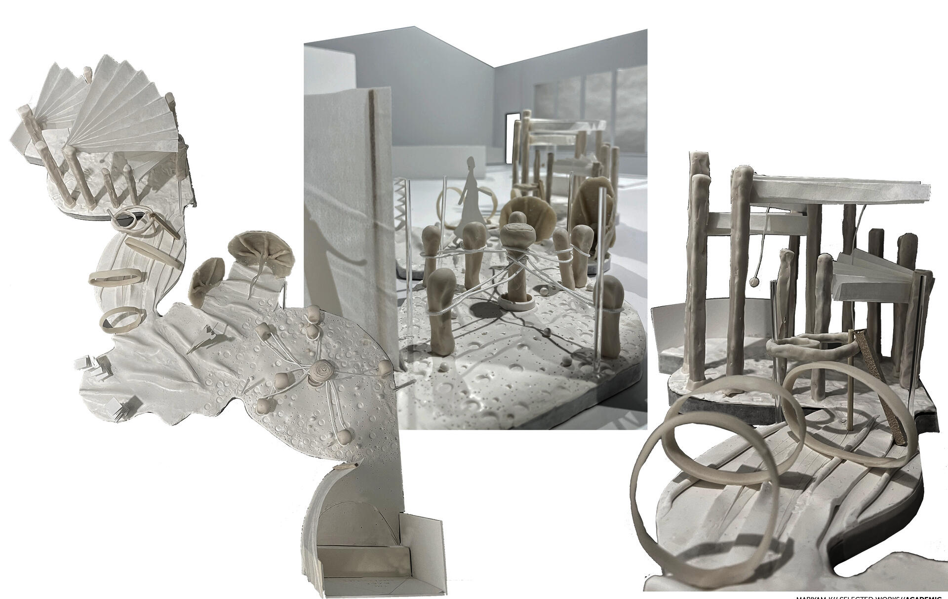 This exhibition design project is an immersive walkthrough installation capturing the diverse and unique ecosystems of Cape Cod through story-telling. Inspired from the Trail Walk at the Museum, this exhibition highlights the didactic role of nature in humans lives, where our interactions with nature form the foundation of Biomimicry as a practice. The framework of the story is about a Little Boy having been lost on the islands and his special encounters with different organisms of their respective ecosys