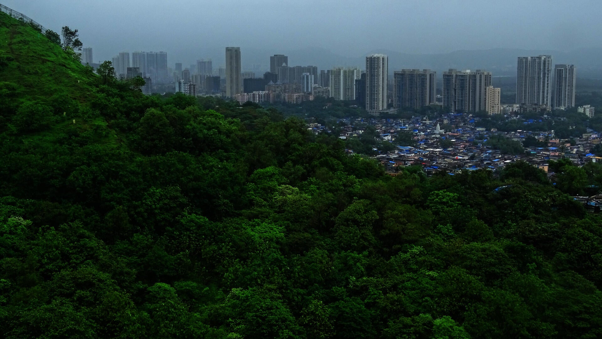 A green hill against an urban city in the background