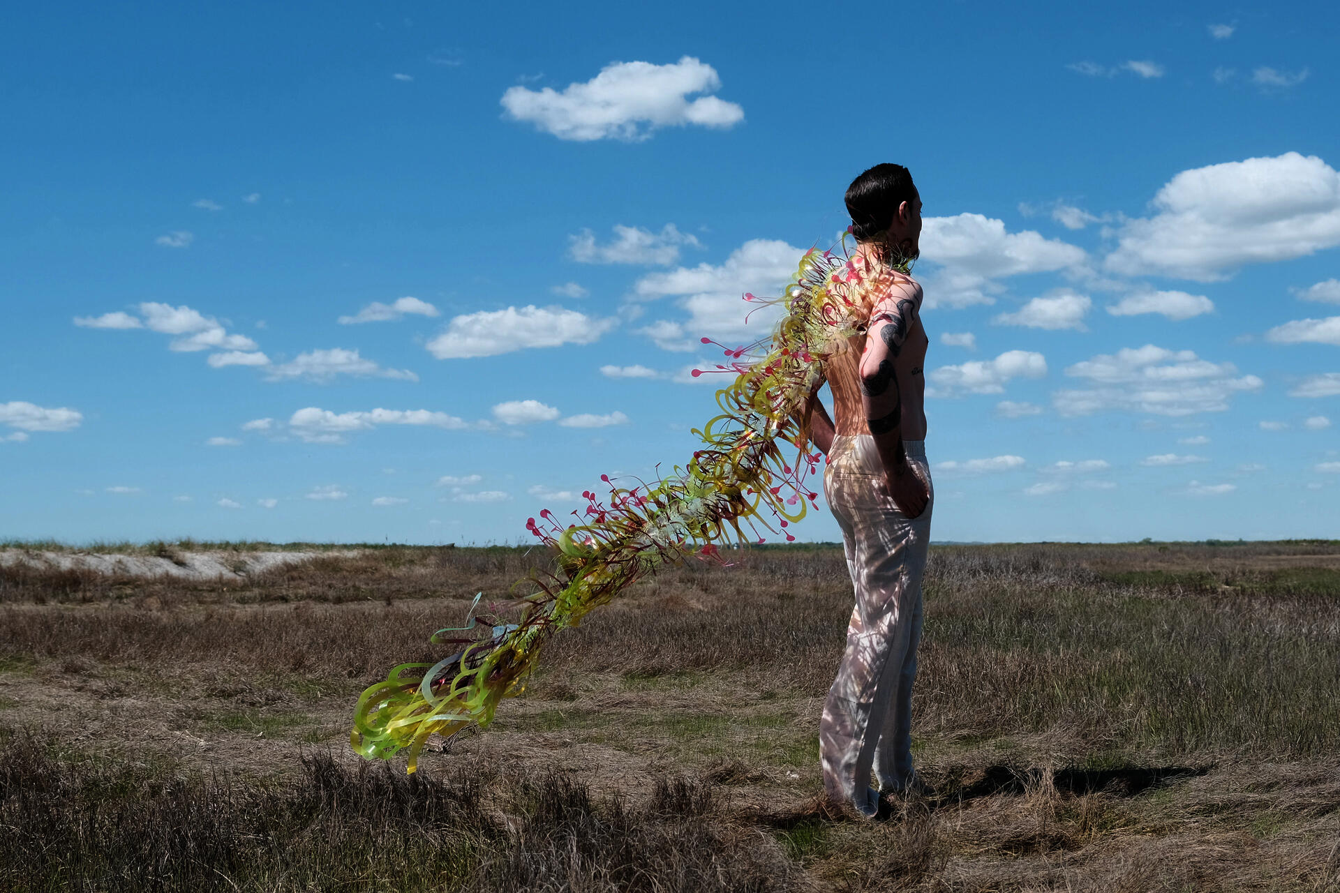 A man stands in a field
