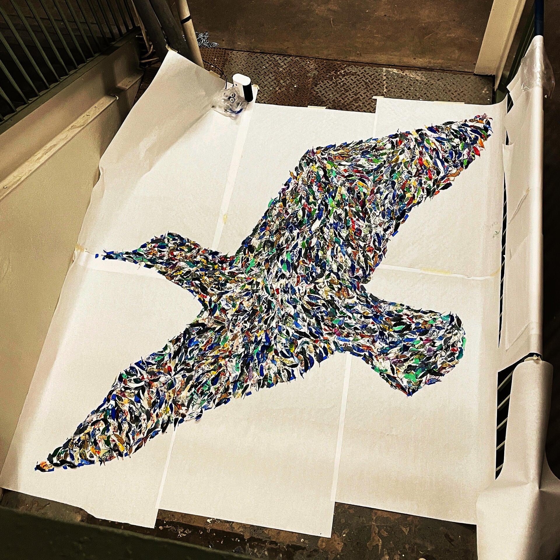 A bird shape