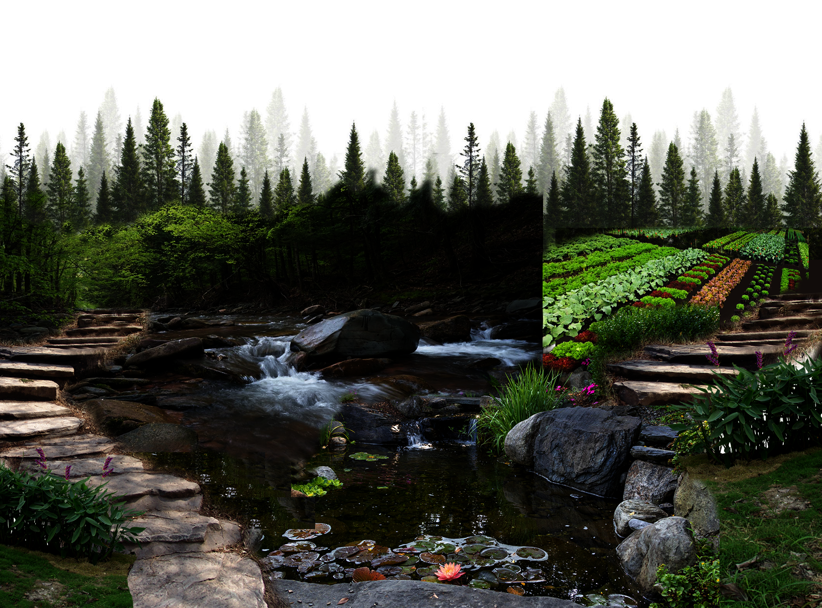 A forest at the back, two mountain trails on both sides of the image, with a water pond in the middle. The trail on the right side leads to farmland.