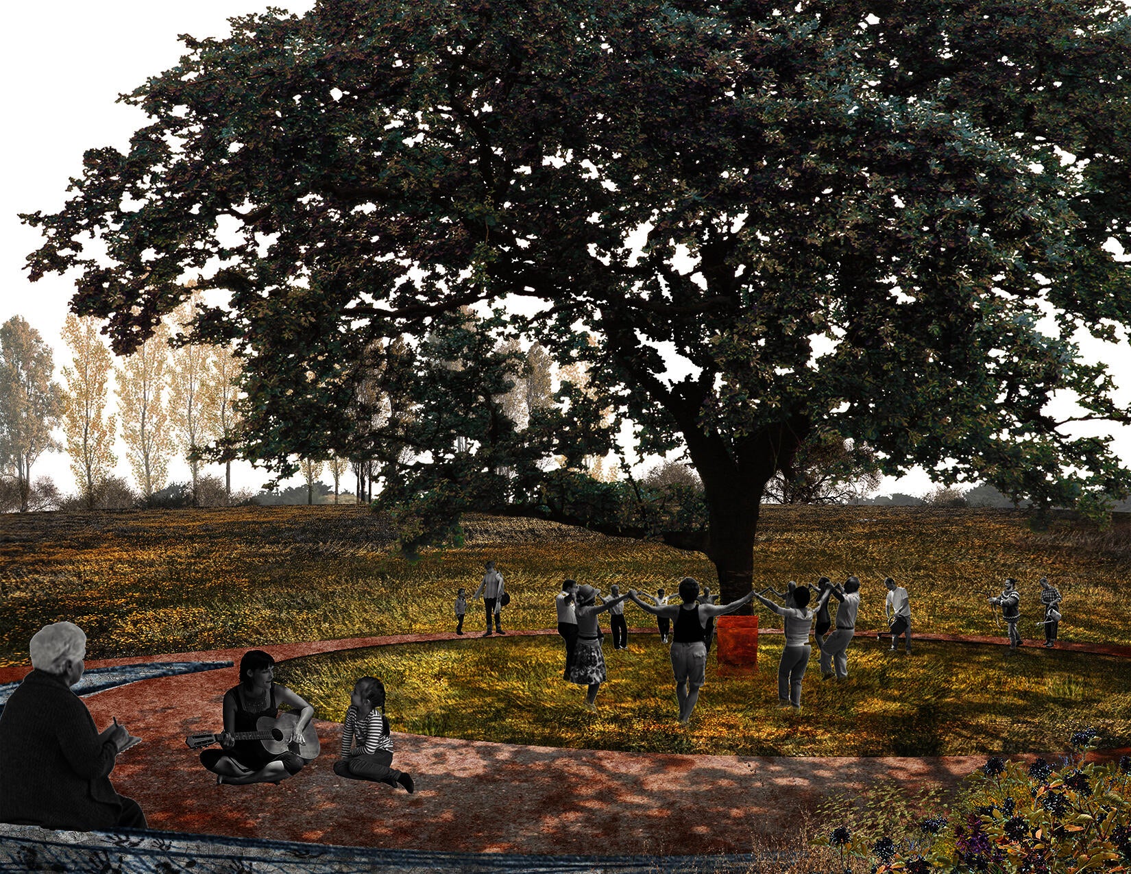 Under the tree, after 40 years