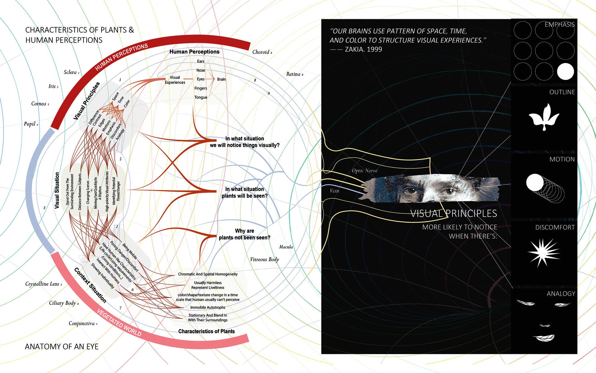 The relationship diagram of the characteristics of plants and human perceptions.