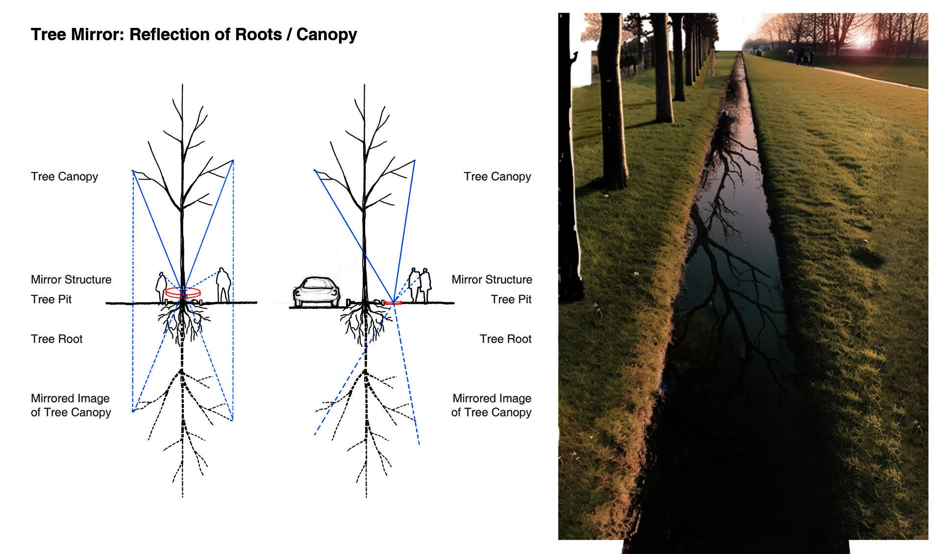 Section diagram of the "Tree Mirror" design.