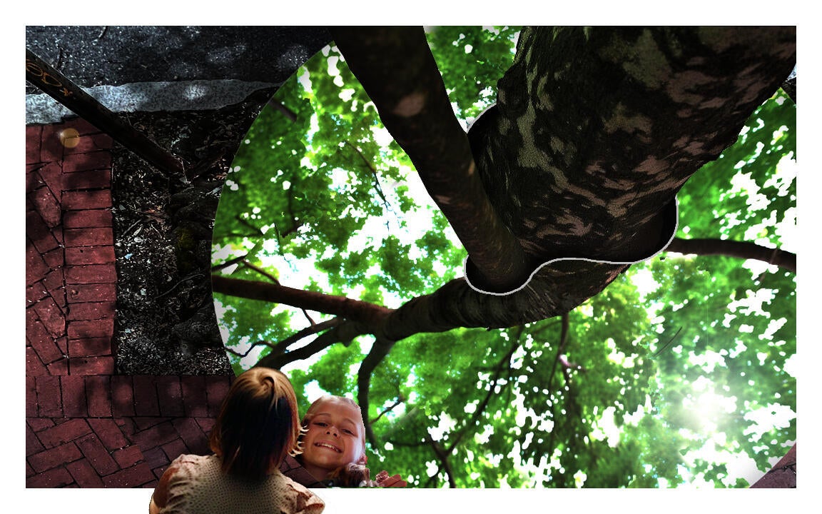 A little kid looking down into the tree mirror to see the reflection of the tree canopy above her head.