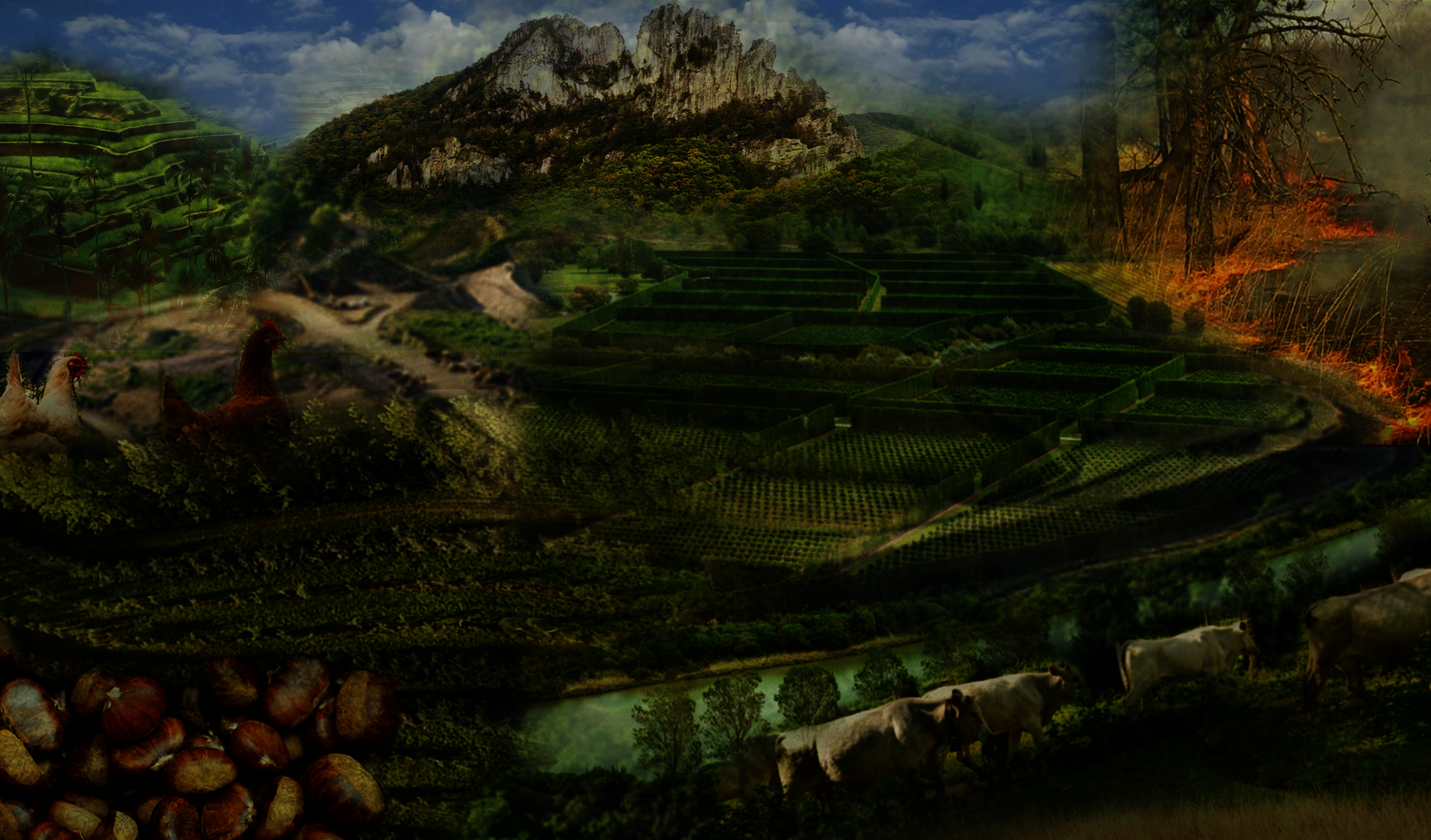 Mashup of different agriculture techniques on a mountainous landscape