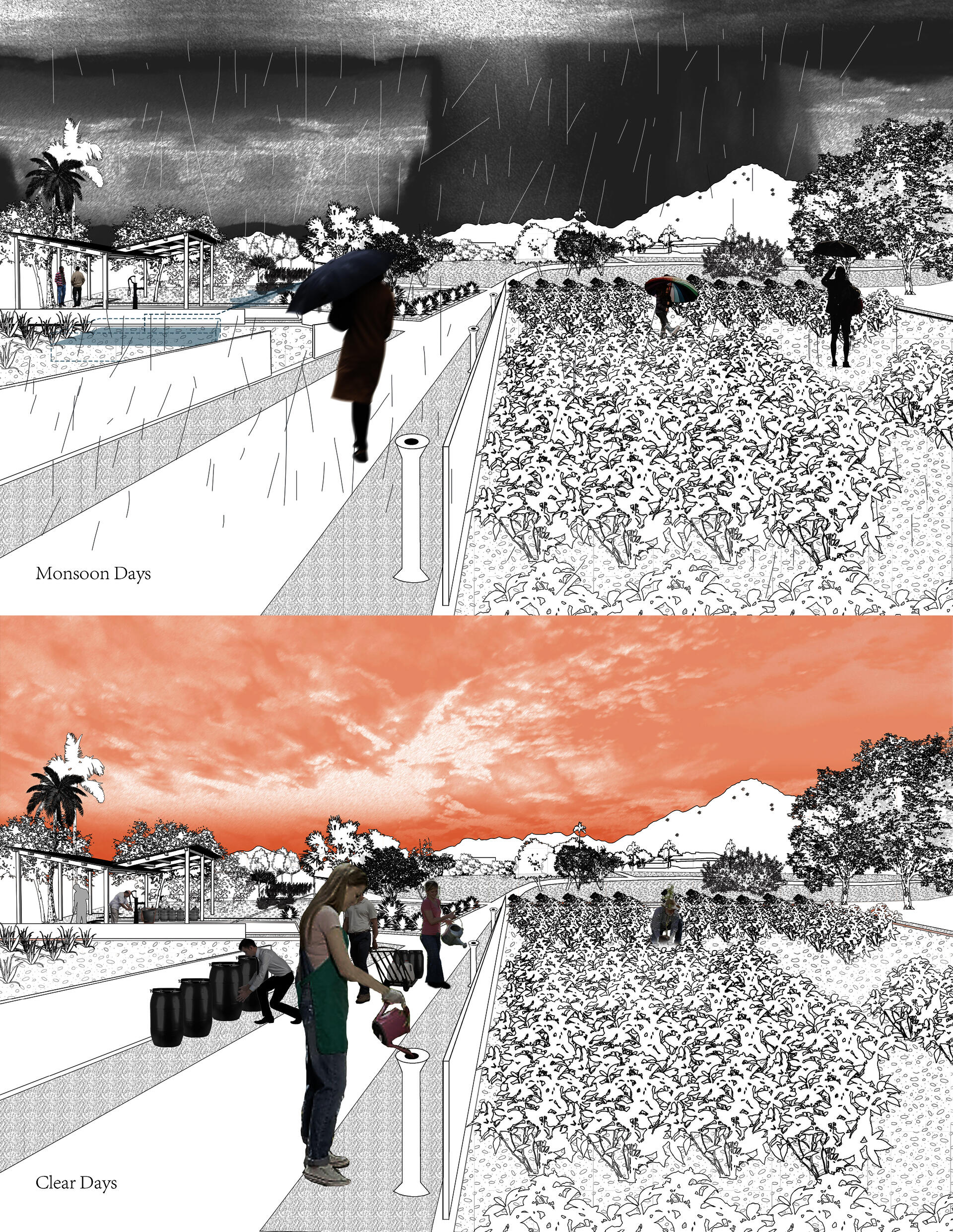 The perspective view of community garden in monsoon days and clear days.