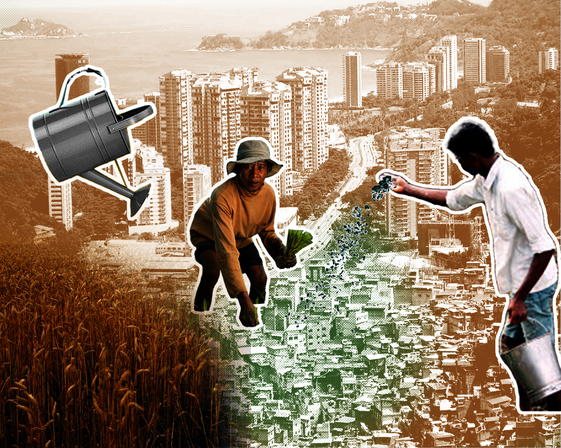 Urban agriculture brings more potential and vitality to Favelas.