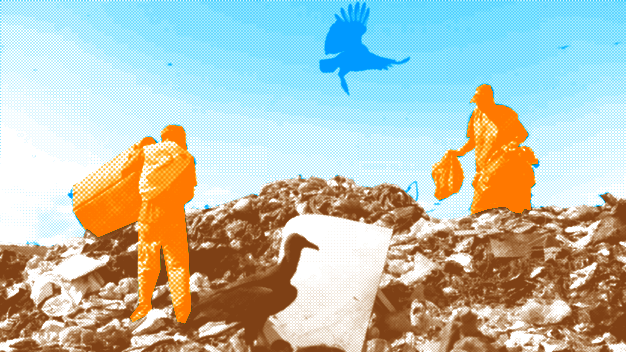 Waste pickers are responsible for around 90% of recycling in Brazil. Despite their invisibility, they perform an essential service for the sustainability and health of Brazil.