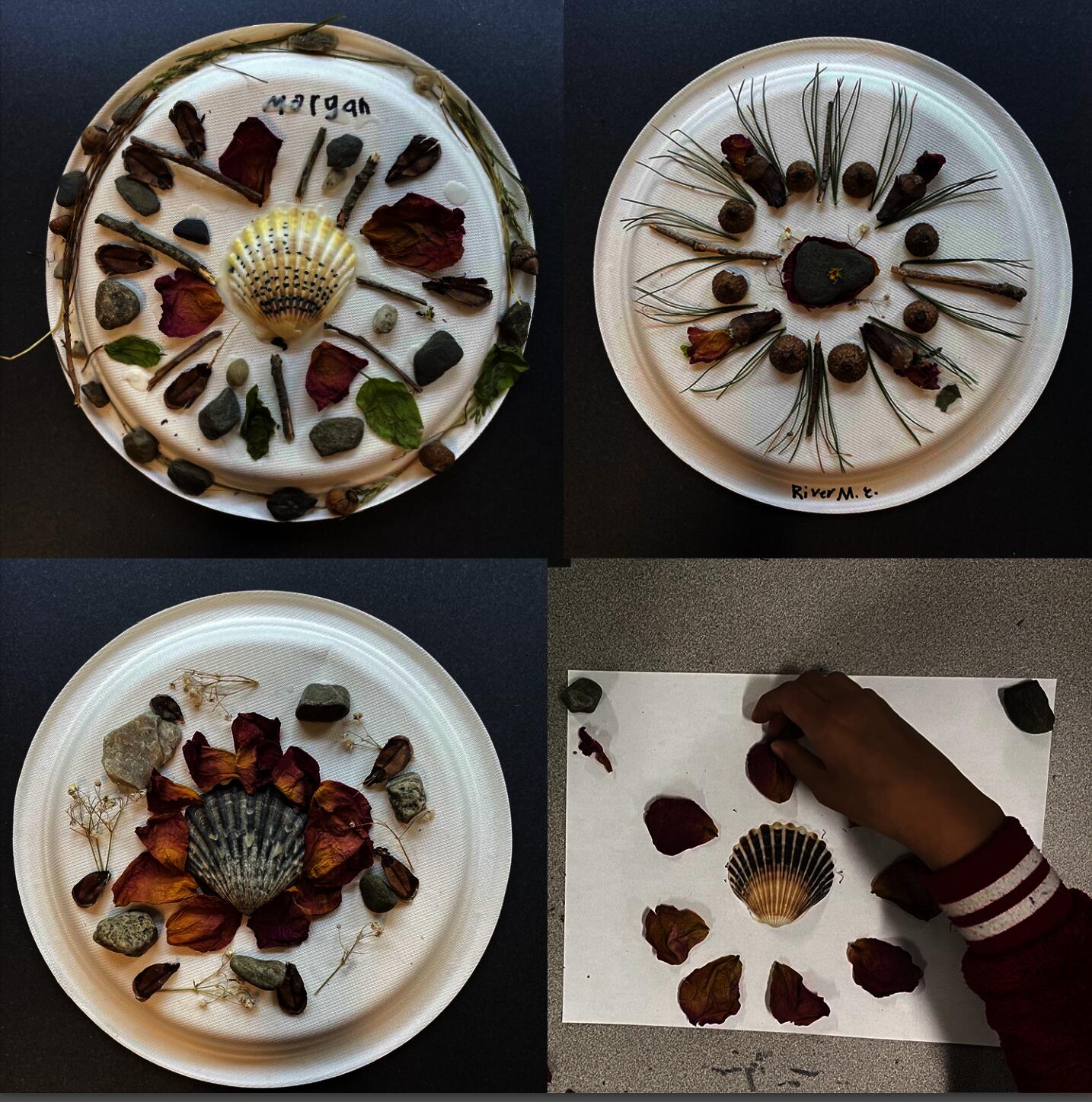 Grade 3, Quidnessett Elementary School. Student begins constructing a mandala project using found objects in nature.