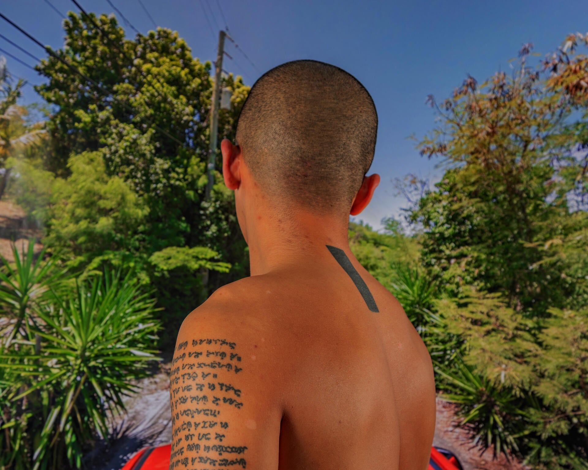 A shirtless man has his back to the camera going toward a tropical landscape.