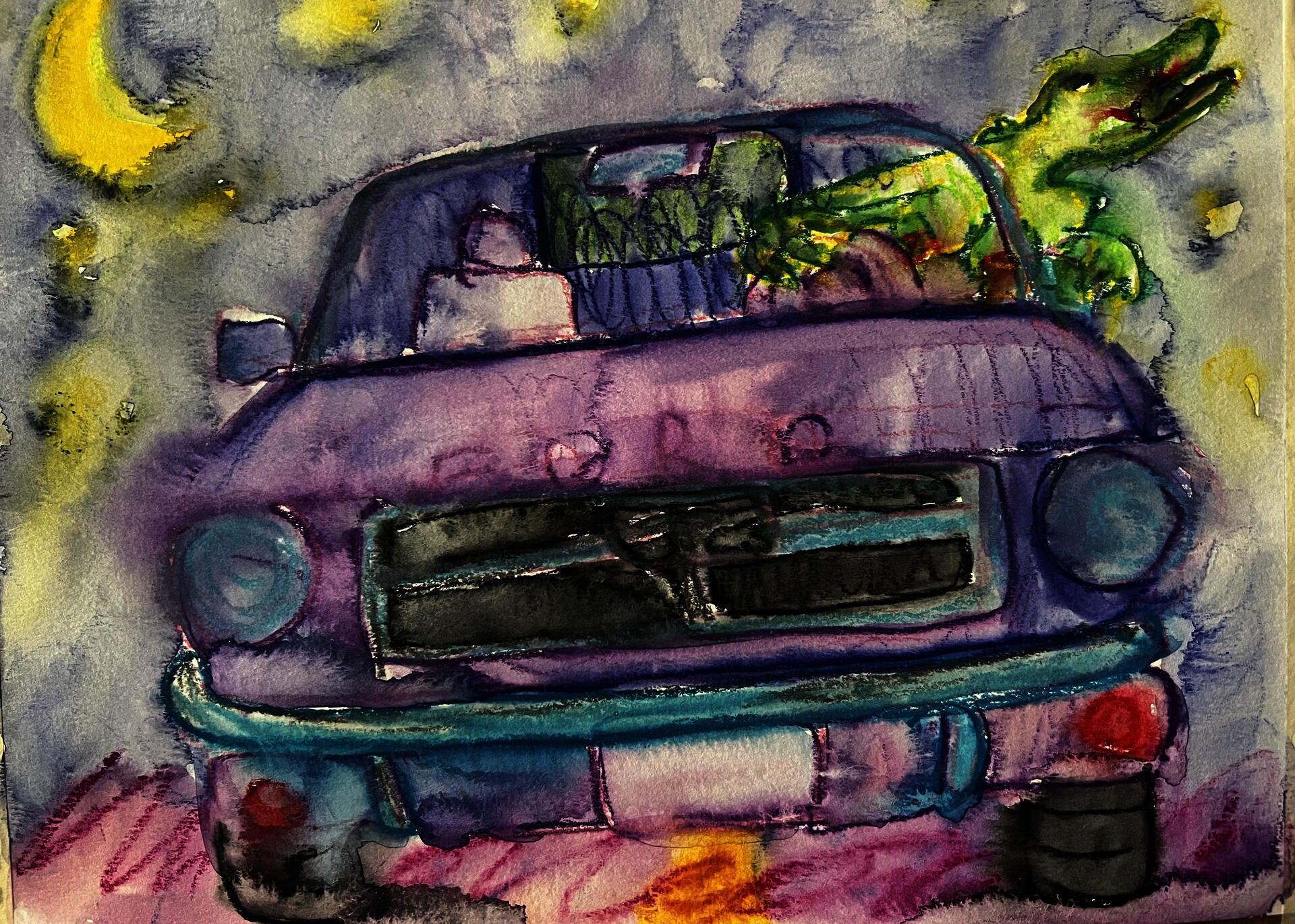 Alligator with head out of the window of a mustang driving at night.