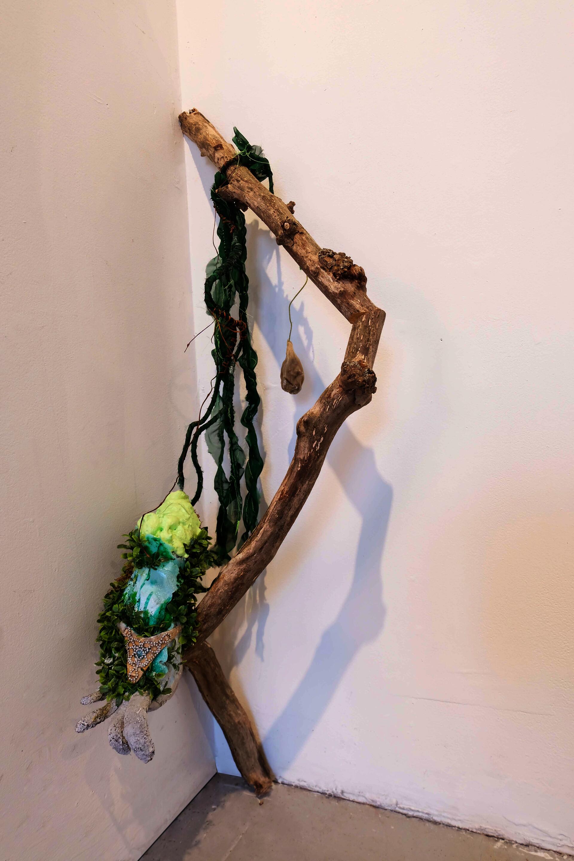 2023. Tree branch, shoe, foam epoxy, artificial plant, chiffon fabric, Aleppo soap.