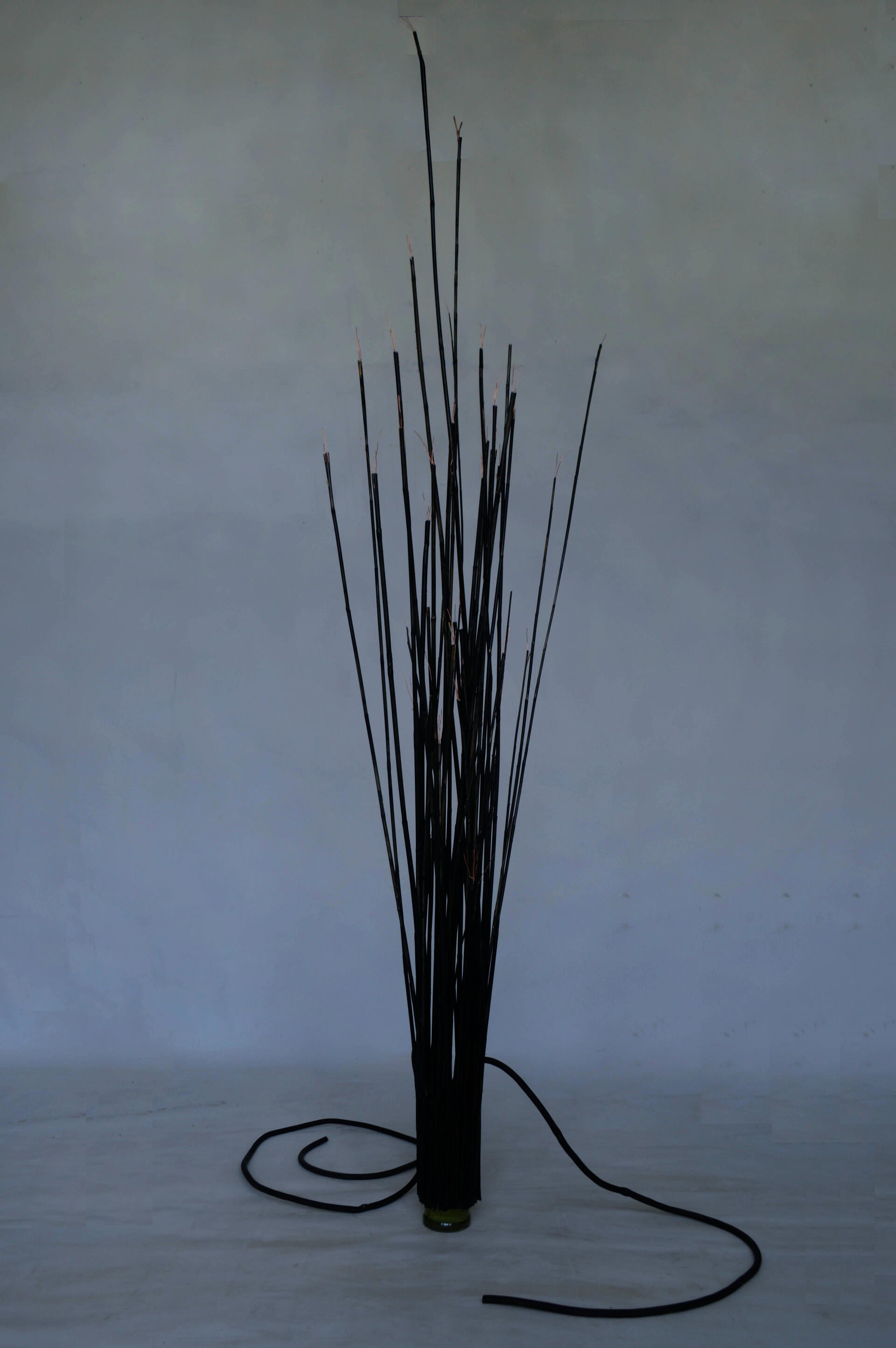 2023. Glass bottle, olive oil, bamboo, copper wire, cable.