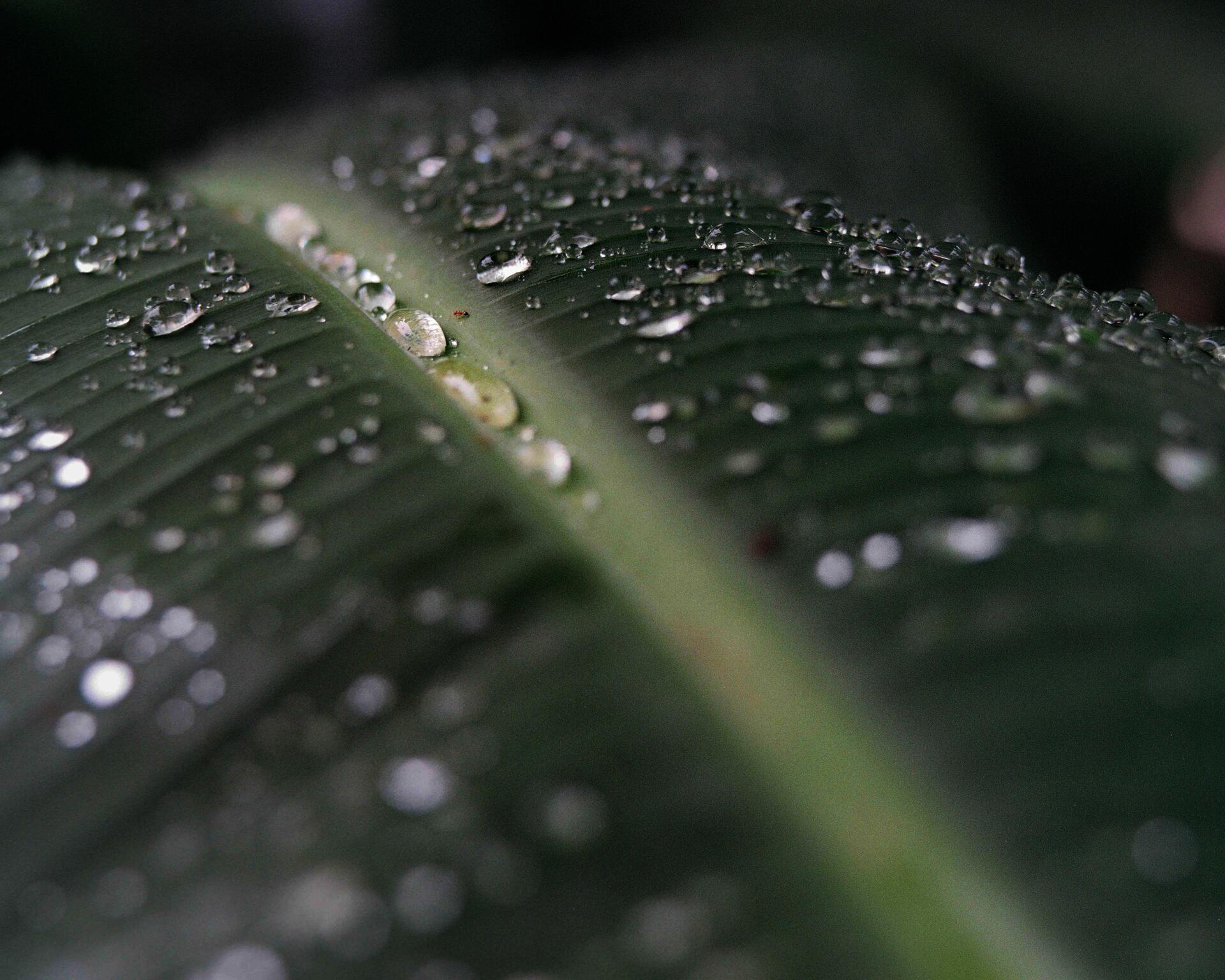 Archival pigment print from the Series "for Jarra & Iyo"
