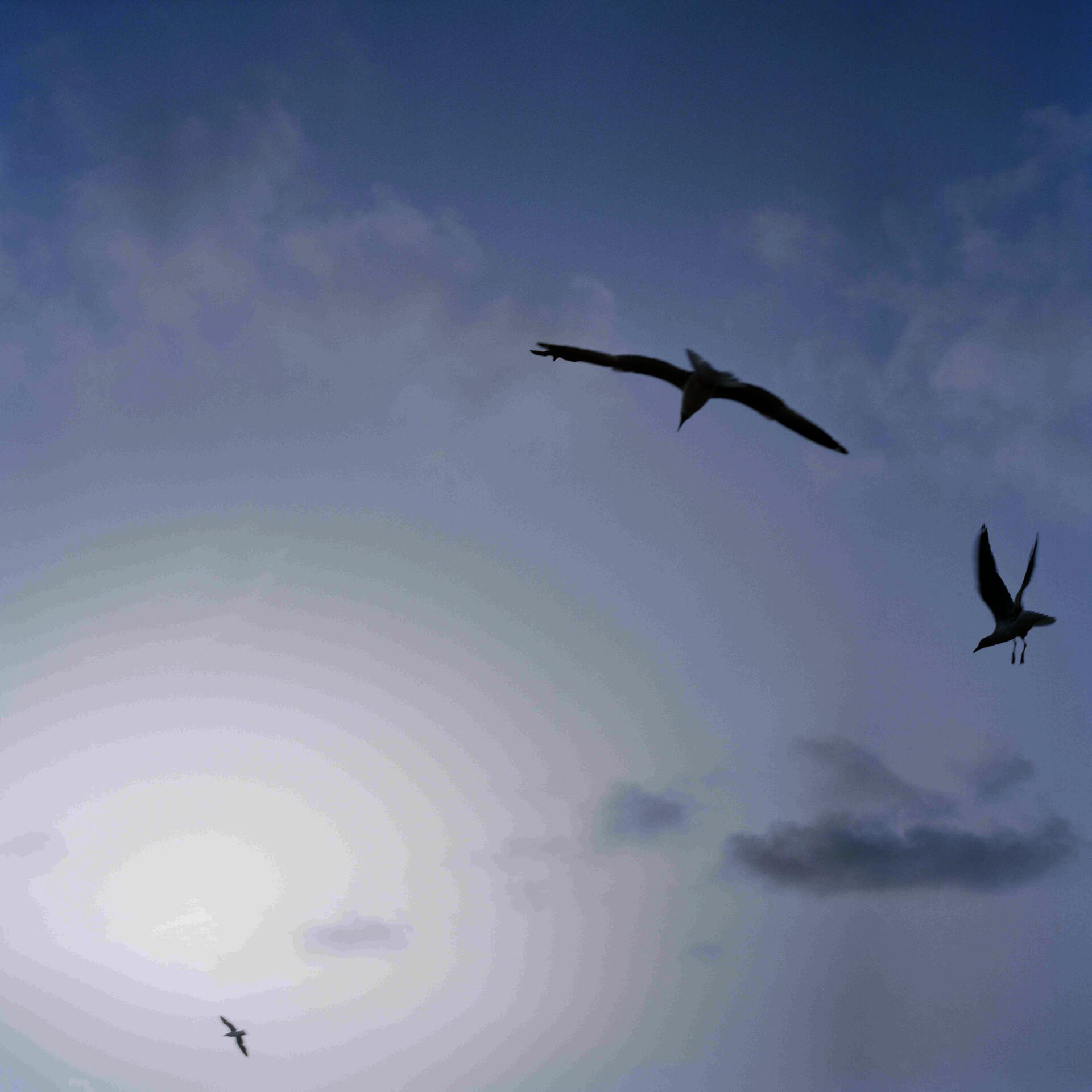 Archival pigment print from the Series "for Jarra & Iyo"