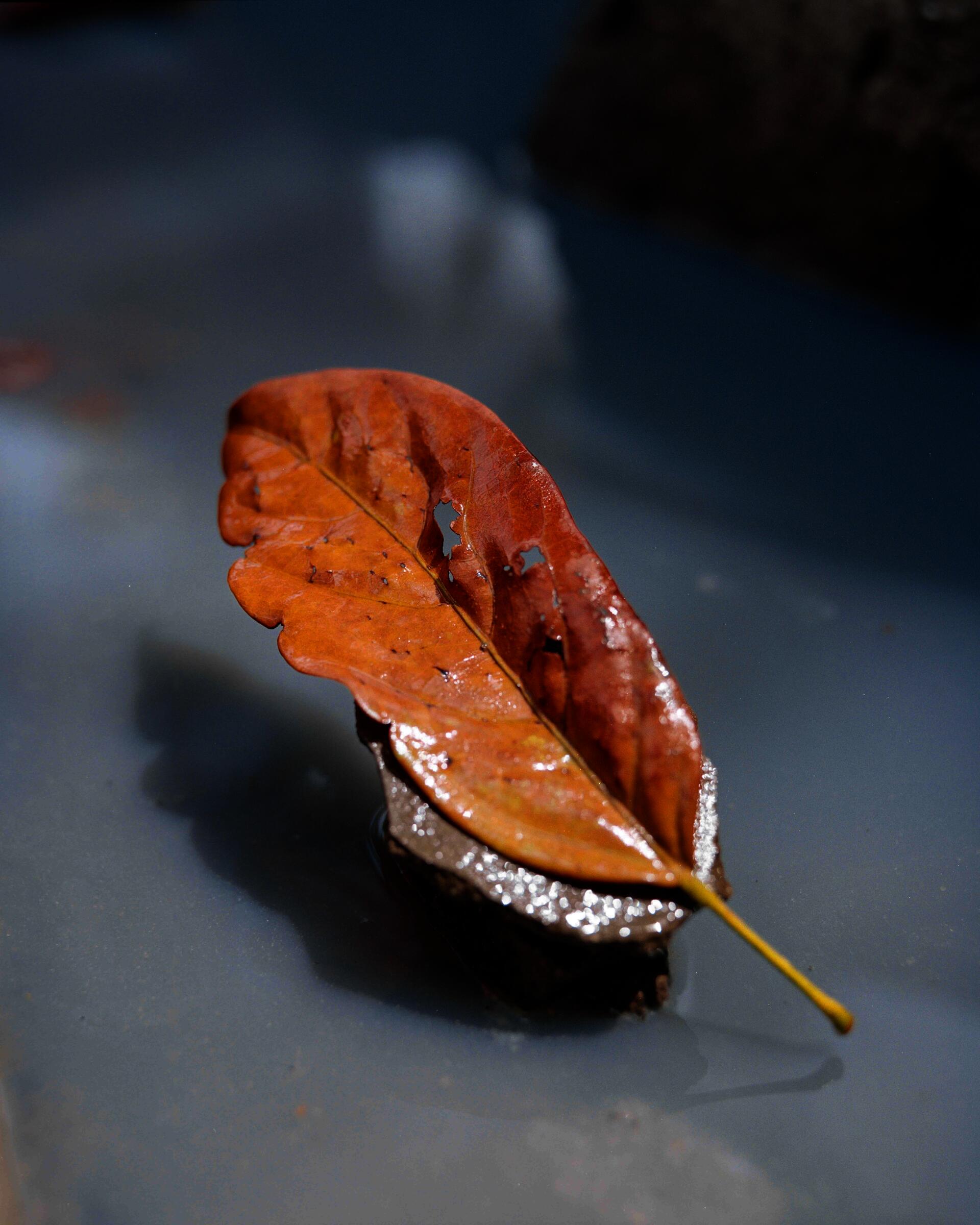 Archival pigment print from the Series "for Jarra & Iyo"