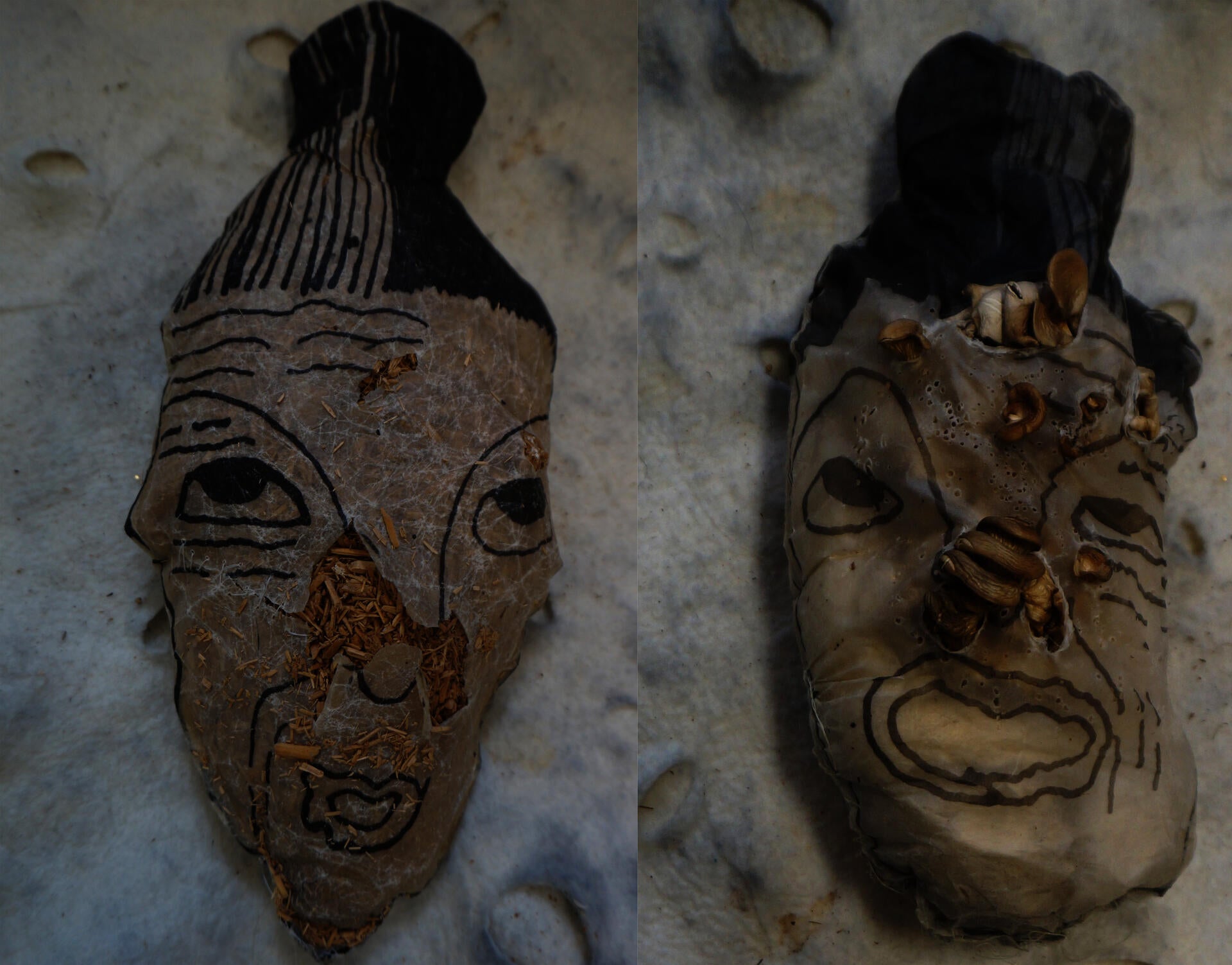 Aging lady head stuff with mycelium mushroom about to emerge.