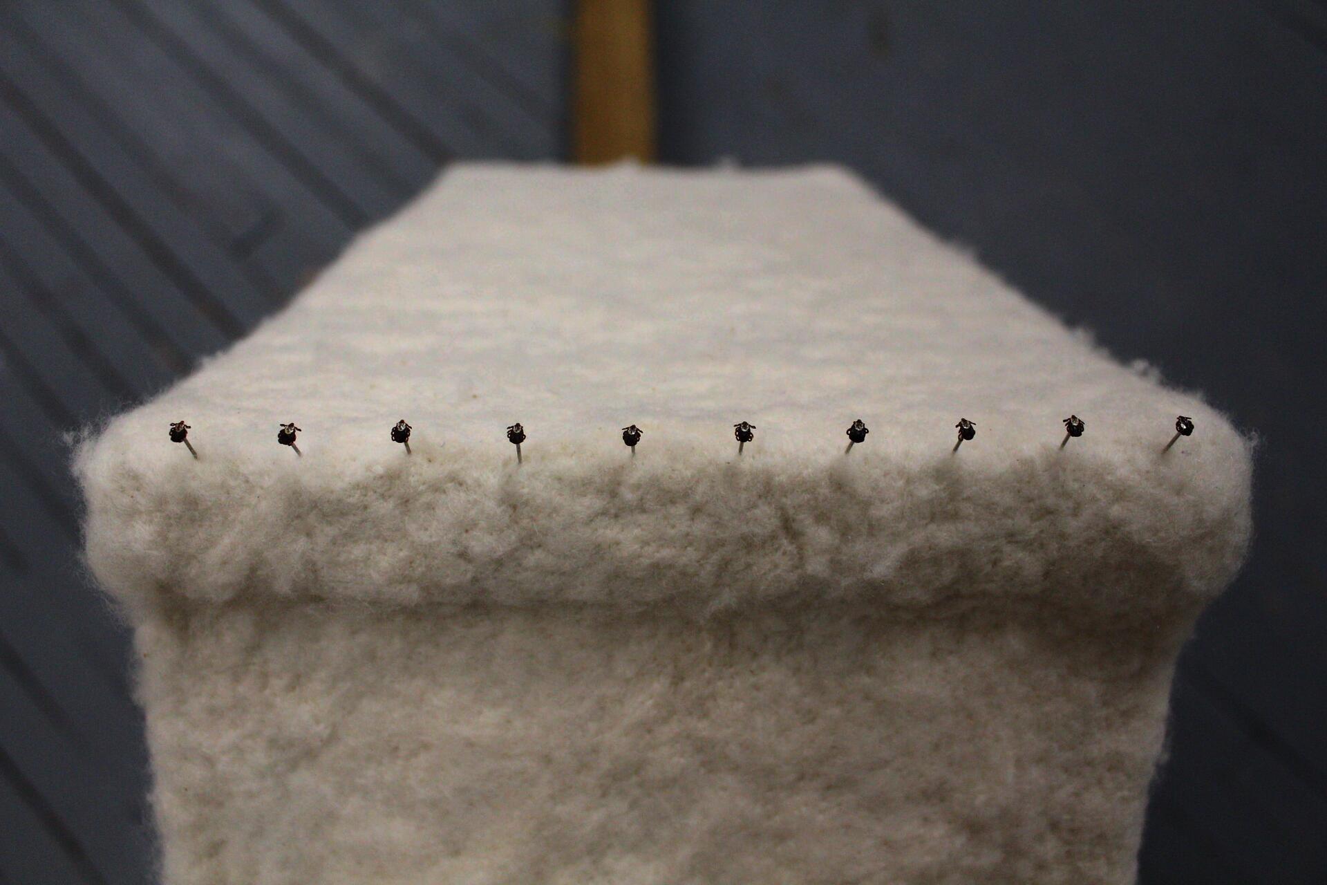 Ten dead American dog ticks, each stuck onto the head of a pin, are pinned in a row to the top of a felted cinder block.