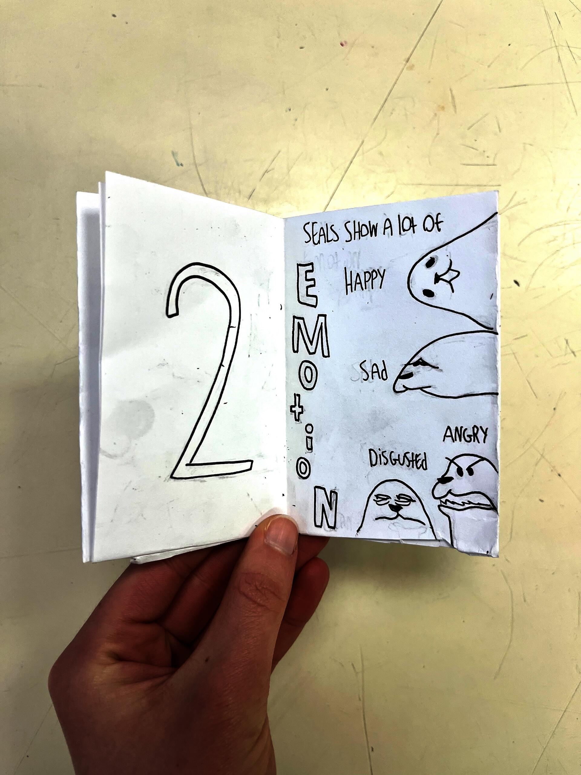 Pilgrim High School student creates a zine detailing why seals are the best animal.
