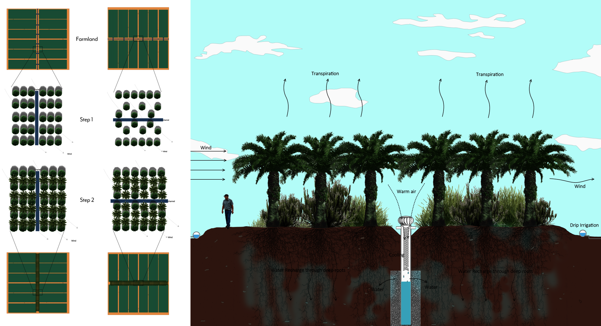Building a wind wall in farmland can prevent wind from taking away surface humidity and reduce excessive evaporation of water. By utilizing the root systems of date palms and shrubs, moisture can be brought deep into the soil. Additionally, an airdrop device can condense moisture in the air to further lock in humidity. The root network established by the wind wall can increase the soil's ability to absorb water, promote microorganisms in the soil, and improve soil health. This is conducive to the long-term