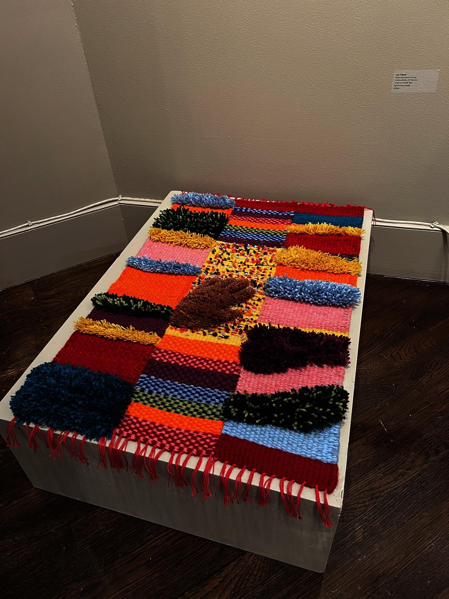 Woven rug by: Aja Delgao