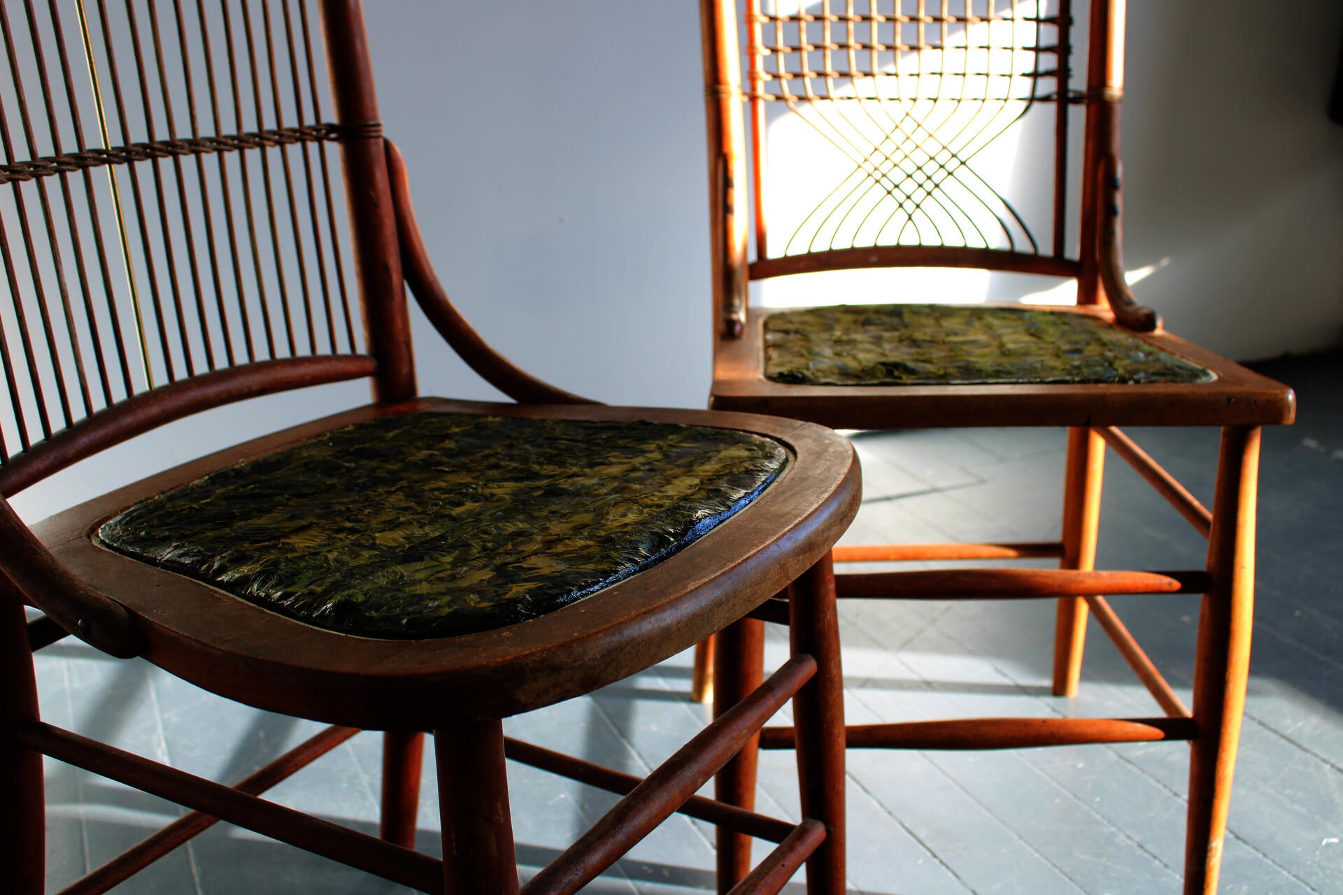 Two chairs (dark brown, early 20th C.) sit side by side. The camera angle is focused on the seats specifically giving a close-up of the kelp showing various hues of green, from dark to light.