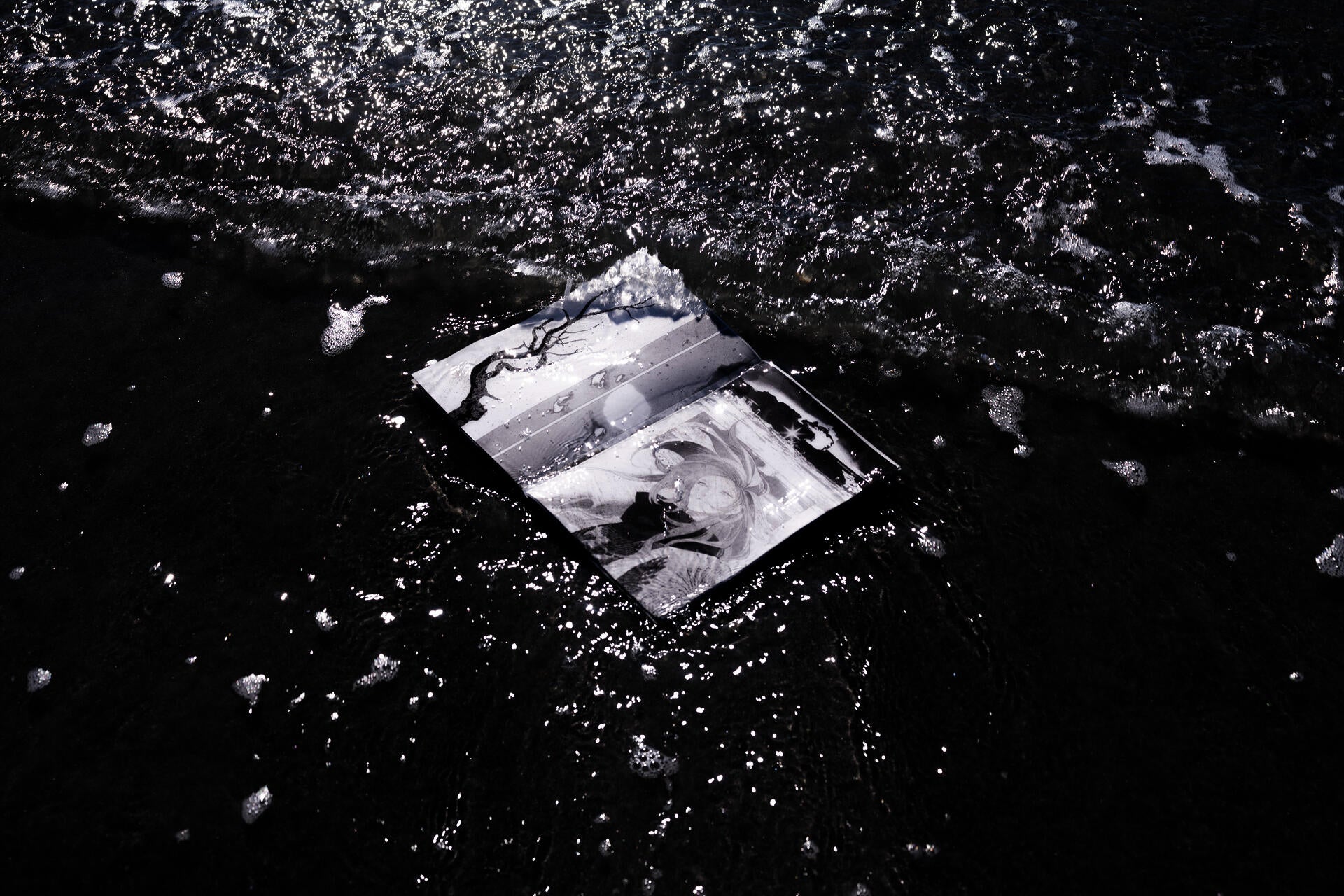 The waves and the book.