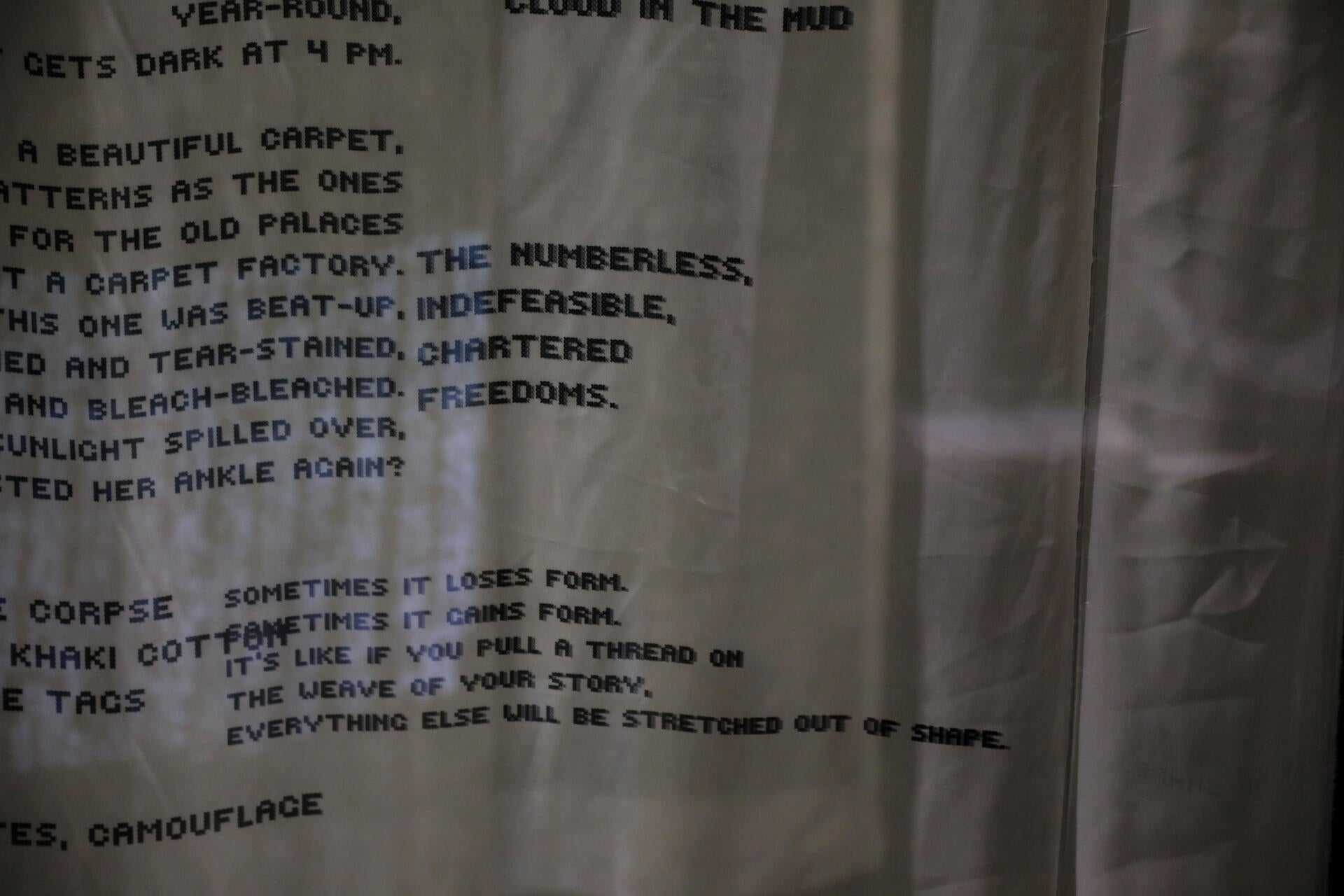Entrance curtain