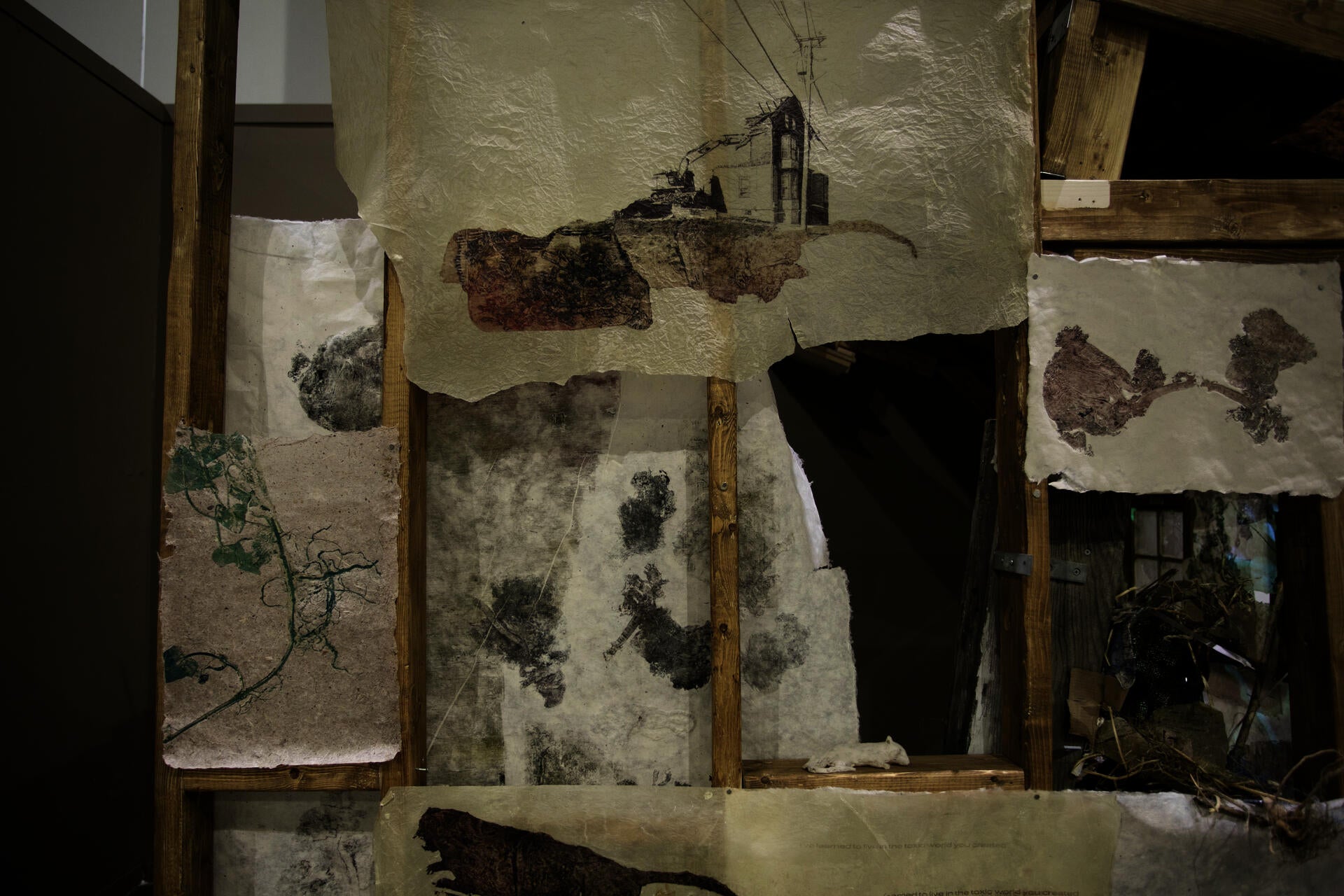 Close up of prints of plants, roadkill remains, and a house in process of being demolished on top of abstracted forms. Exposed wall framing, nest coming through and small paper rat on a ledge.