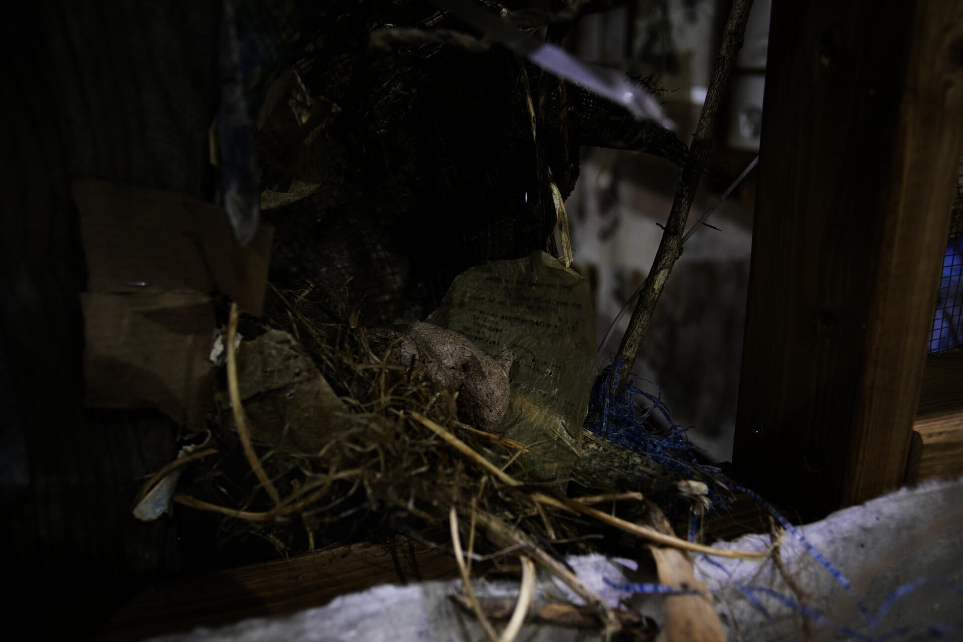 A little baby rat made of textued paper, in a nest that goes through the wall structure. The nast is made of burlap, hardware cloth, paper, hay and plastic scraps.