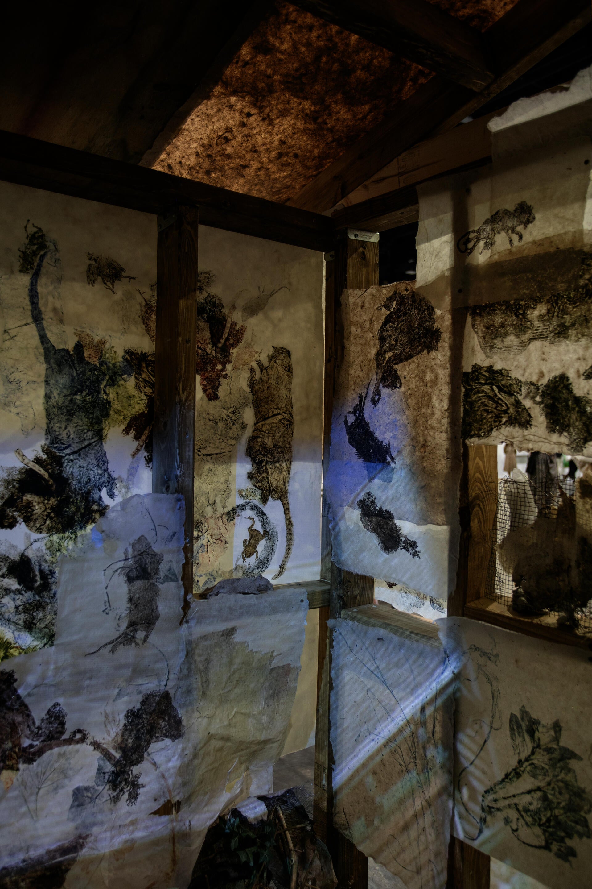 a corner inside the stucture, with prints of plants various roadkill, some rats, a snake, a toad and bird. Some are unrecognizable. a light projection of a house in one of the walls.