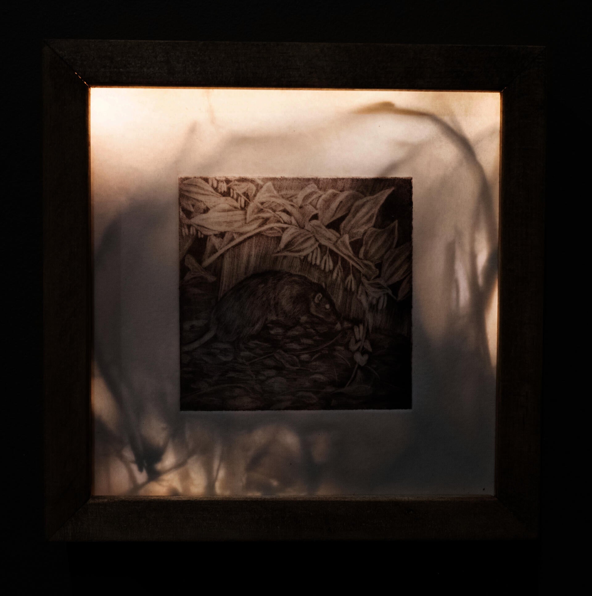Mezzotint print and beeswax 4x4in