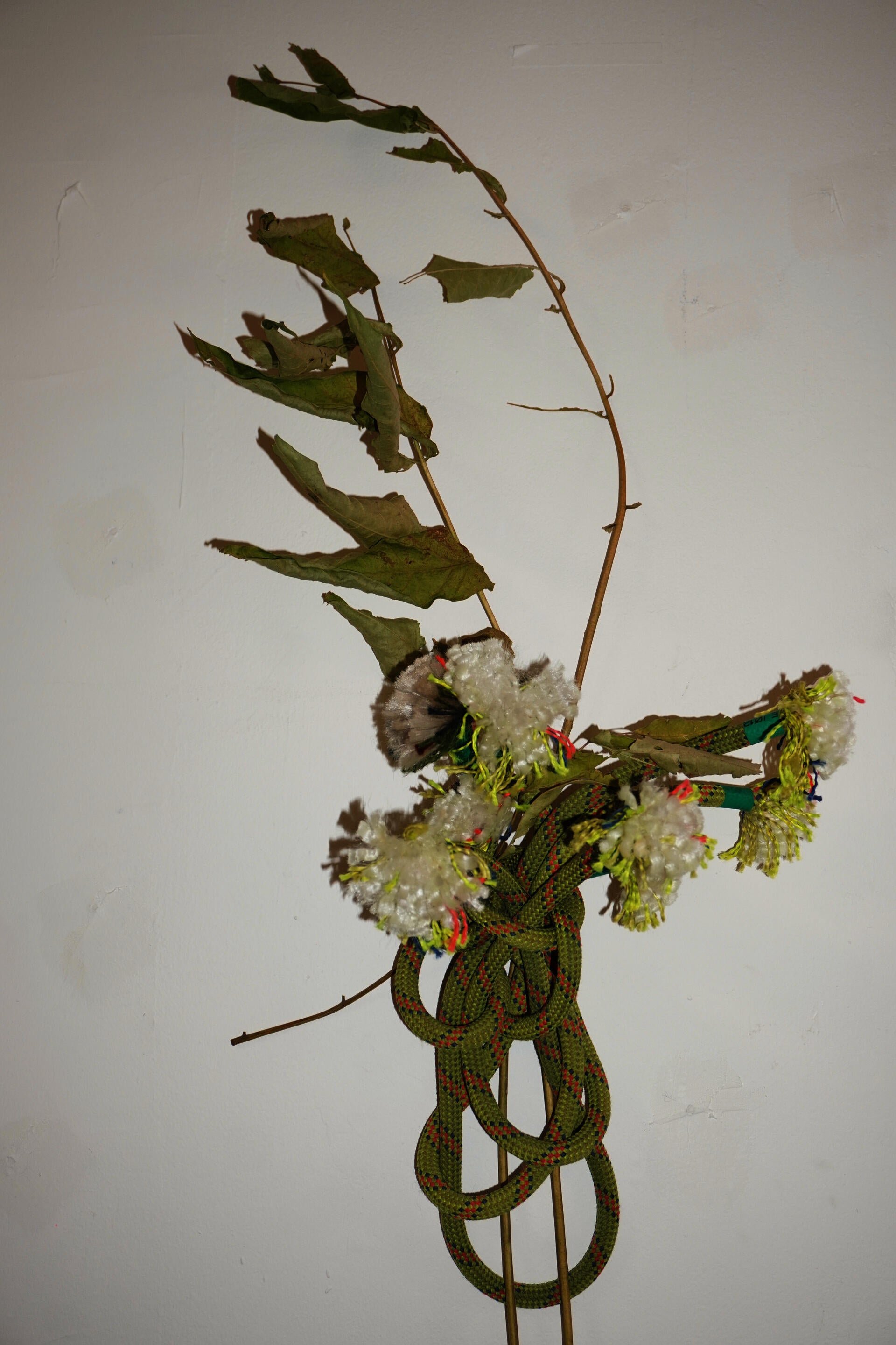 A green rope, cut so it naturally opens and splits at the ends like flowers, forming a loose bouquet shape.