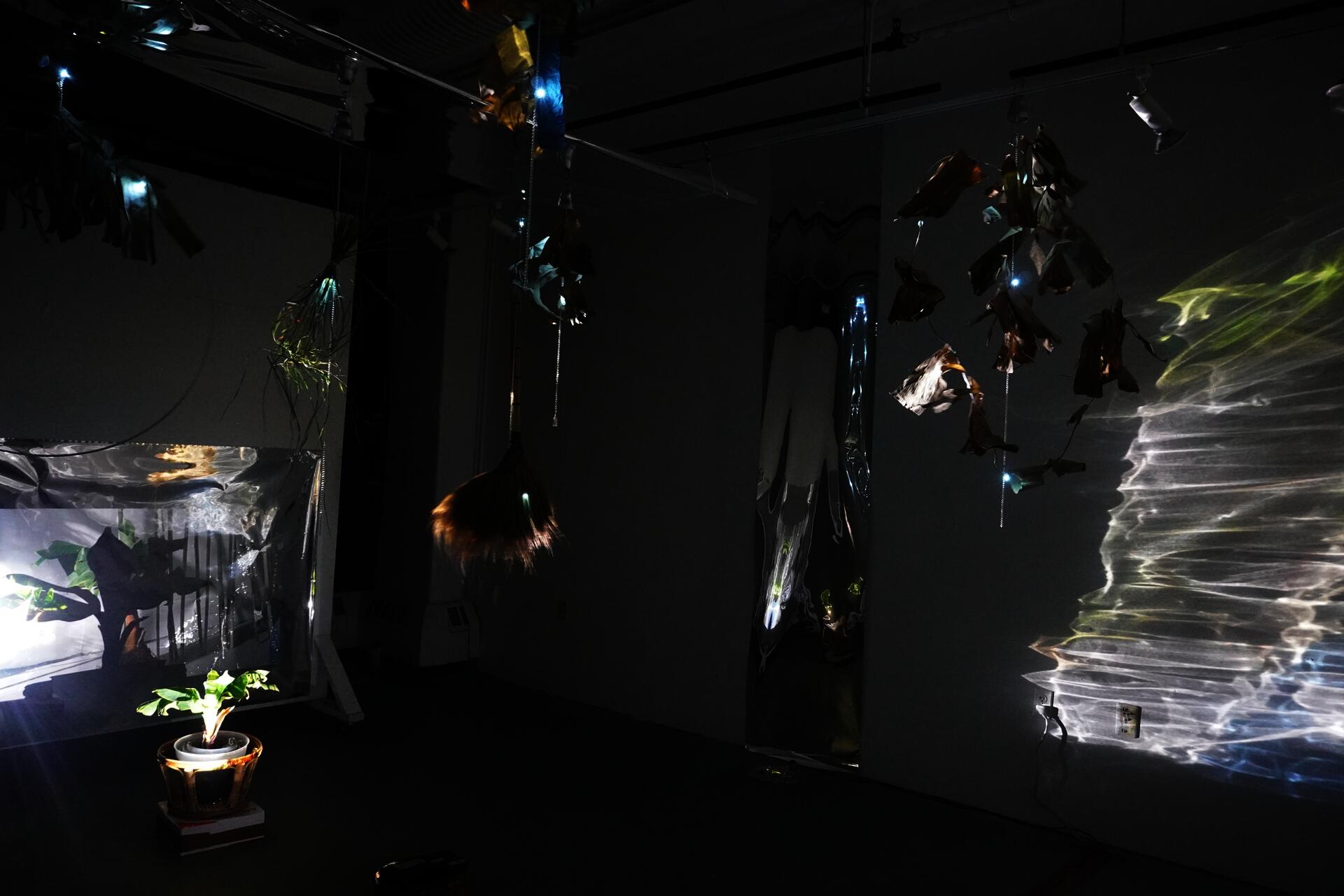 In a dark room, a baby banana tree on the left has video projected onto it, casting refracted light across the walls. Above, metal sculptures with curled dried bamboo leaves and tiny lights hang overhead, 