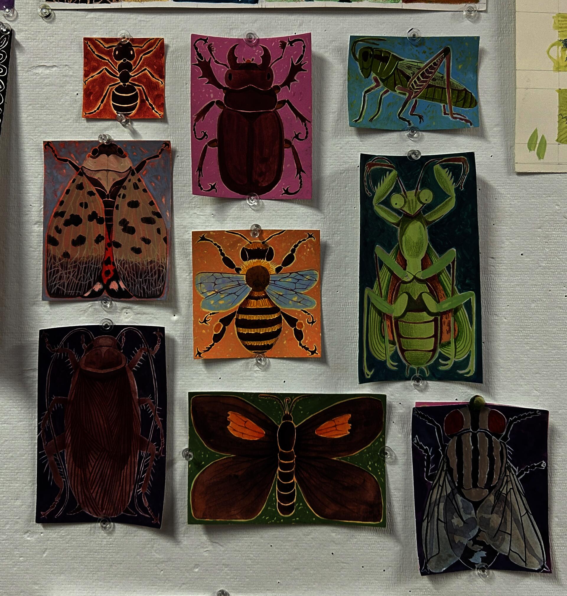 Collection of images depicting different insects: reddish brown stag beetle, carpenter ant, spotted lanternfly, red-legged grasshopper, praying mantis, honey bee, moth, cockroach, flesh fly