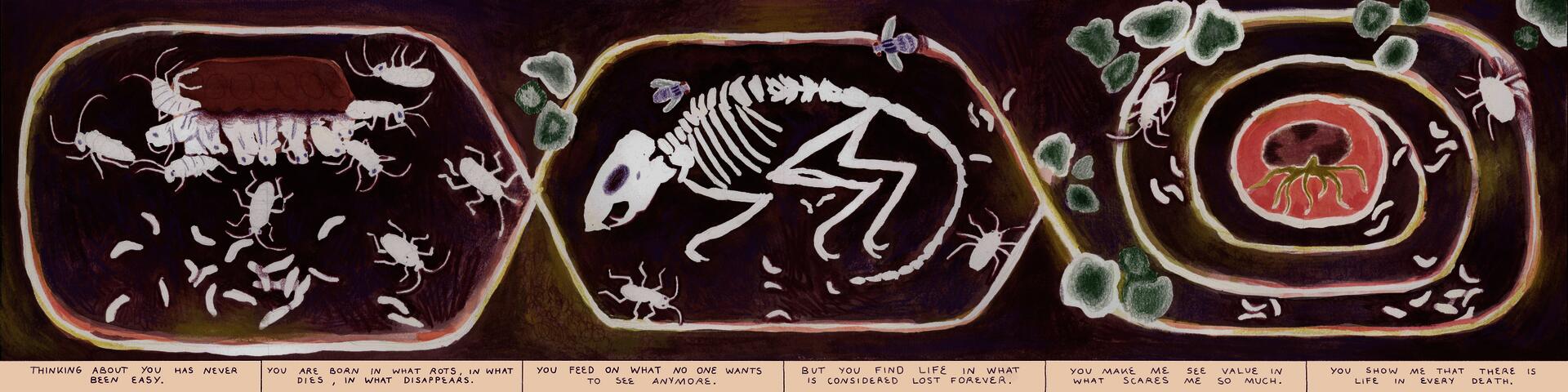 "Long purple composition depicting cockroaches and flesh flies. With the text ""I found you on the frame of my window, after you tried to escape. You had a smell of death on you. I couldn’t stop thinking about where you had been before coming here. I felt scared and disgusted. I tried to get rid of you, feeling like you were bringing death with you. But death was already here, inside these walls, before you arrived. You’re just the one who makes it visible. Thinking about you has never been easy.  You’re bo