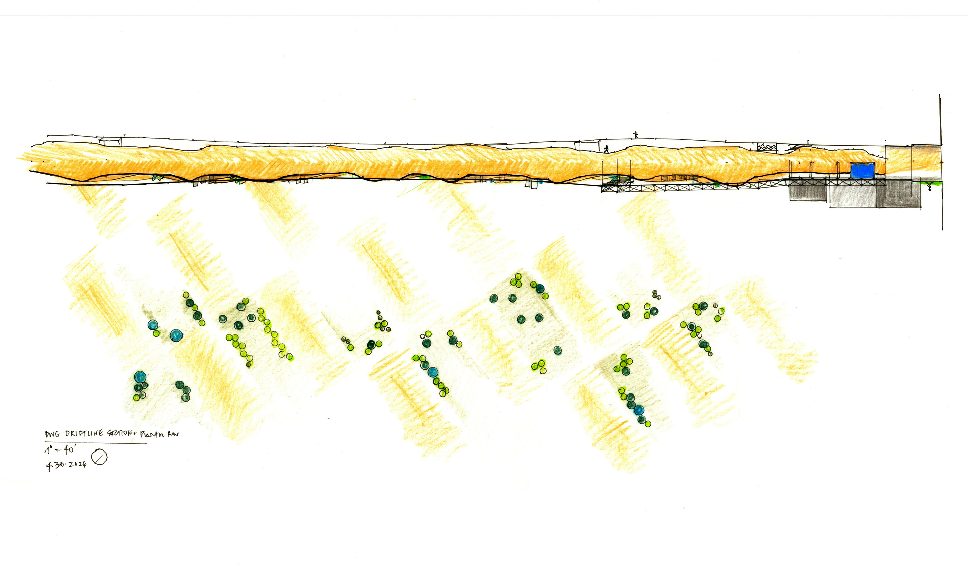 "Detail Driftline Plan/Section: Detail Pencil and Ink drawing of proposed boardwalk and dune planting plan with section, Dunes Club, Narragansett, Rhode Island."
