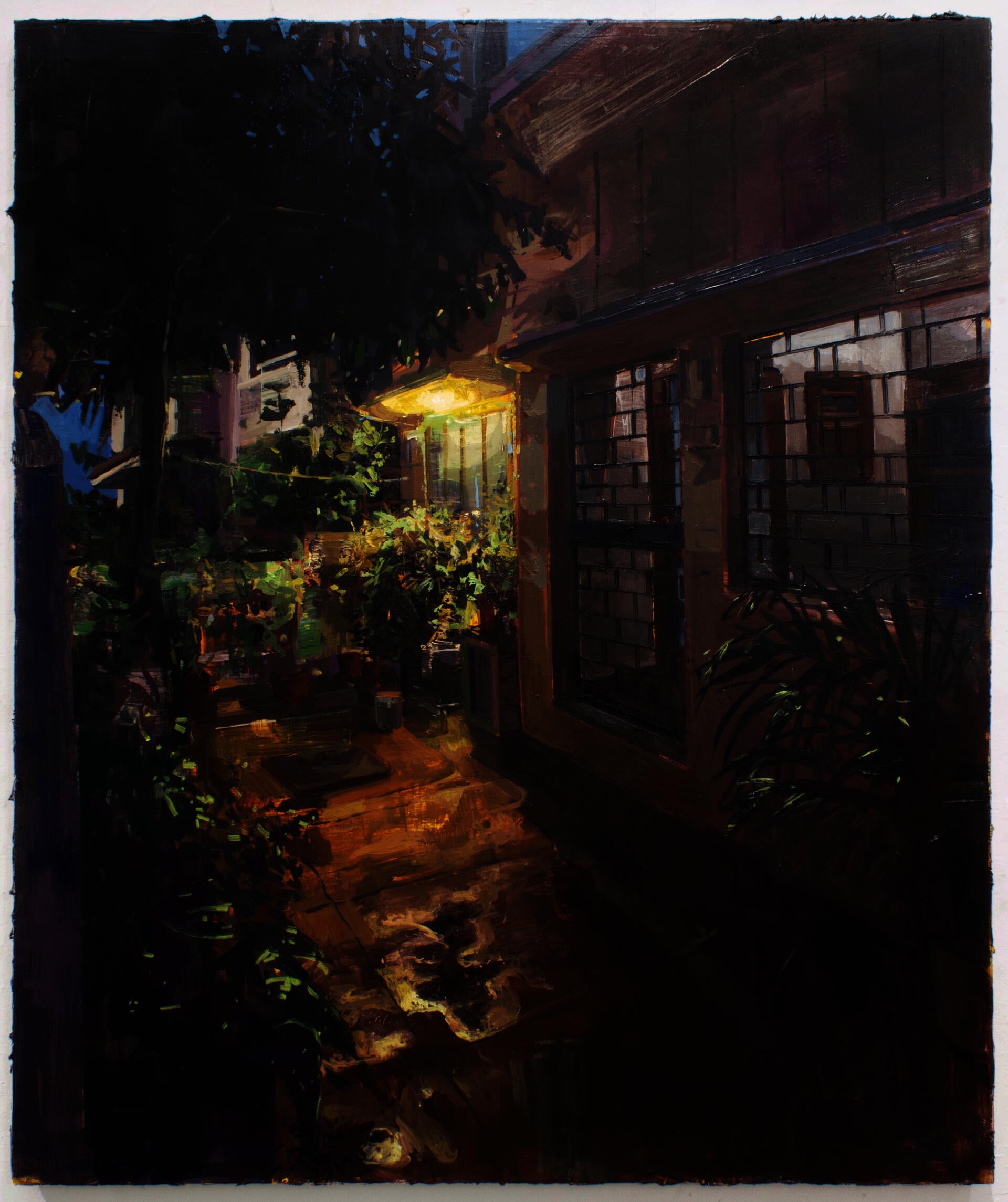 Late evening scene of an entryway to a house with potted plants and a strong yellow light  from a lamp which is being reflected in a puddle on the ground.