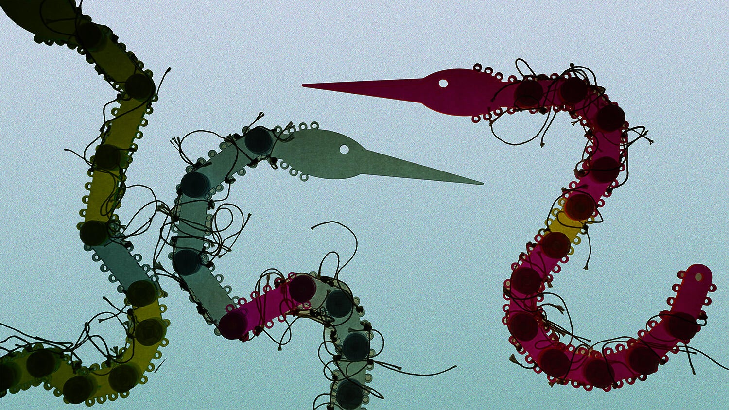 Three laser-cut acrylic models of heron neck structures in green, blue, and pink, each made of segmented interlocking pieces connected by string, suspended against a soft blue gradient background.